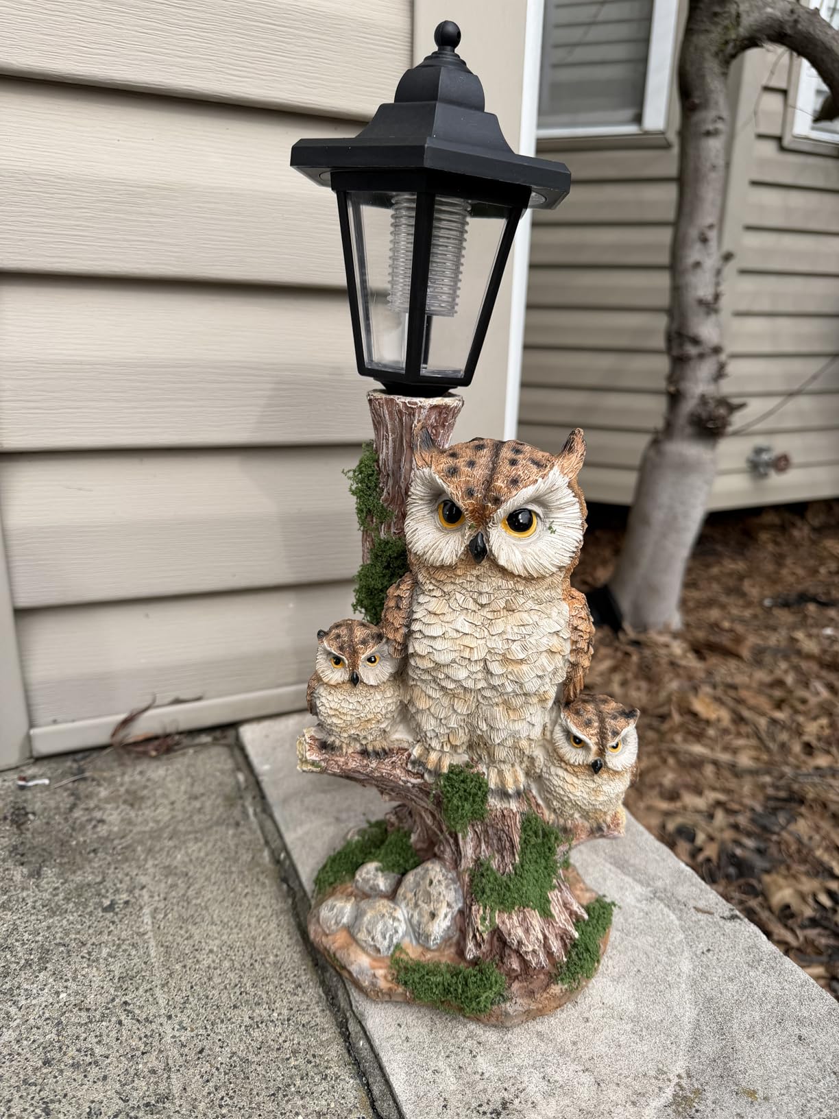 Black Bear Garden Statue with Solar Lantern - Bear Figurine Lights for Outside, Yard Decor Gift for Women, Mom customer photo 1