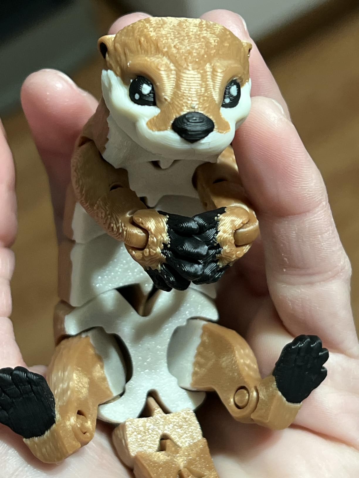 3D Printed Articulated Platypus Toy, 7