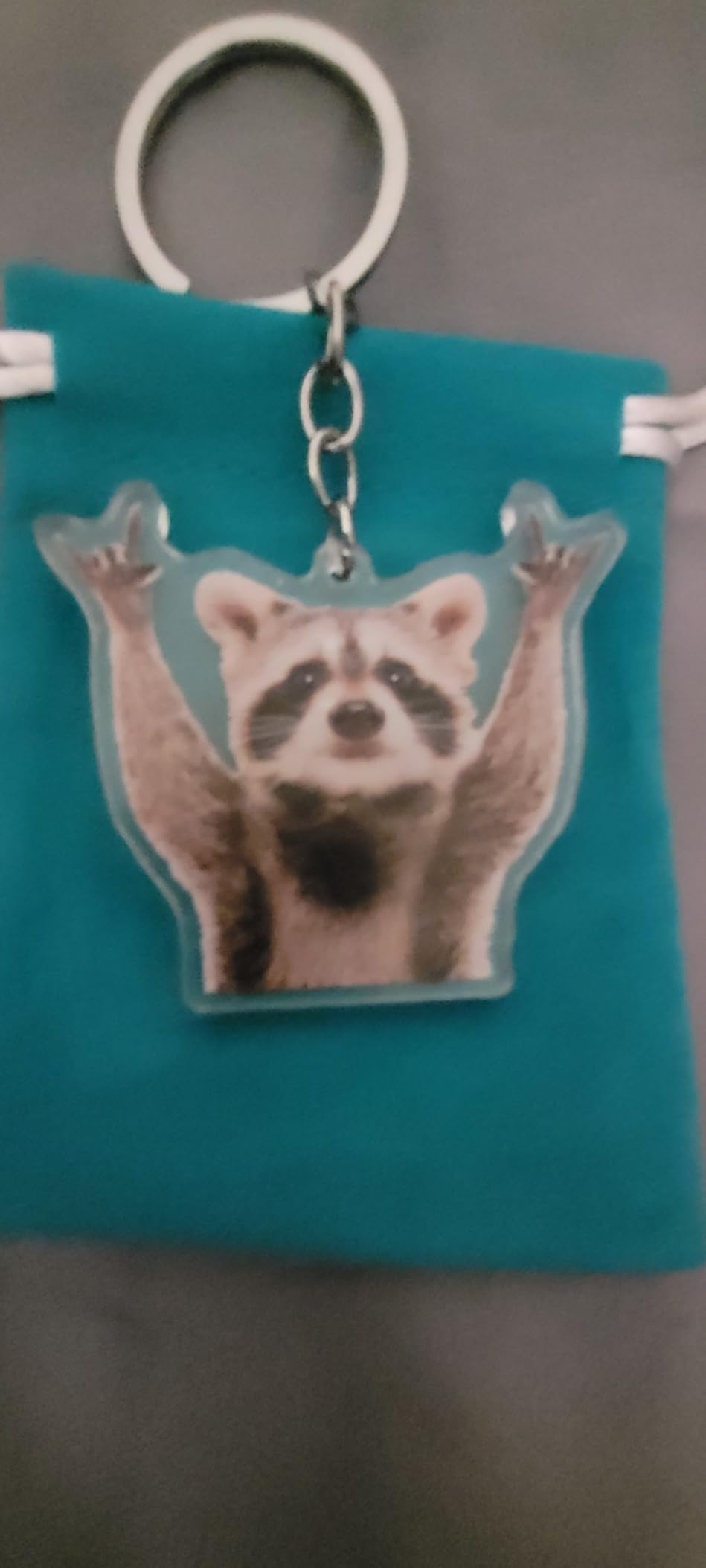 Racoon Gifts for Women Men Funny Raccoon Gifts Acrylic Raccoon Keychain Trash Panda Birthday Christmas Gift for Racoon Lovers Animal Lovers Racoons Birthday Decor Racoon Key Rings customer photo 1
