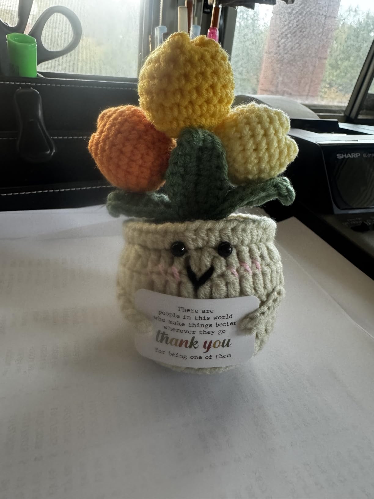 OASSIE Thank You Gifts for Women - Positive Emotional Support Crochet Tulip | Employee Appreciation Gifts for Coworkers, Nurse Teacher Friend Gift, Handmade Keepsake, Soft Yarn Texture, Home Office Decor customer photo 2