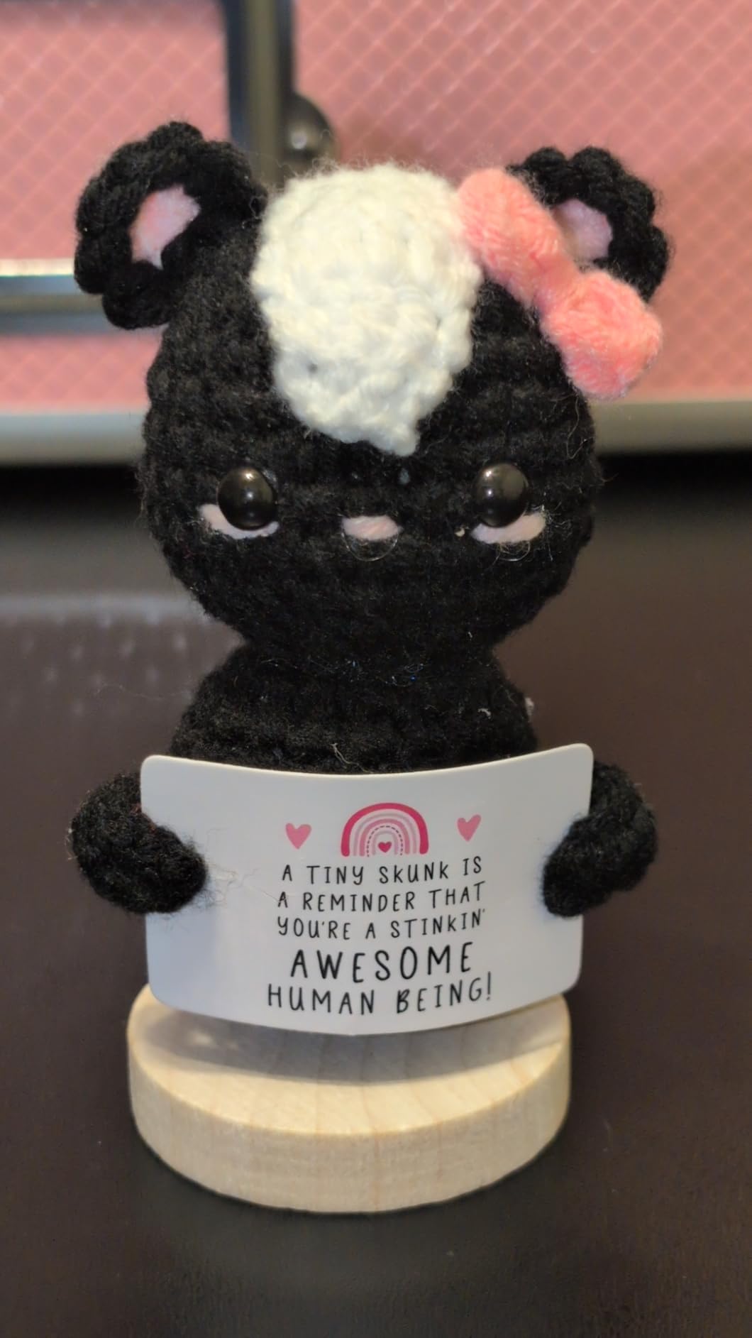 Crochet Skunk Gift for Friend - Cute Handmade Knitted Plush with Encouragement Card - Funny Thinking of You Present for Best Friend, Coworker, Roommate - Birthday, Christmas, Just Because Gift customer photo 1