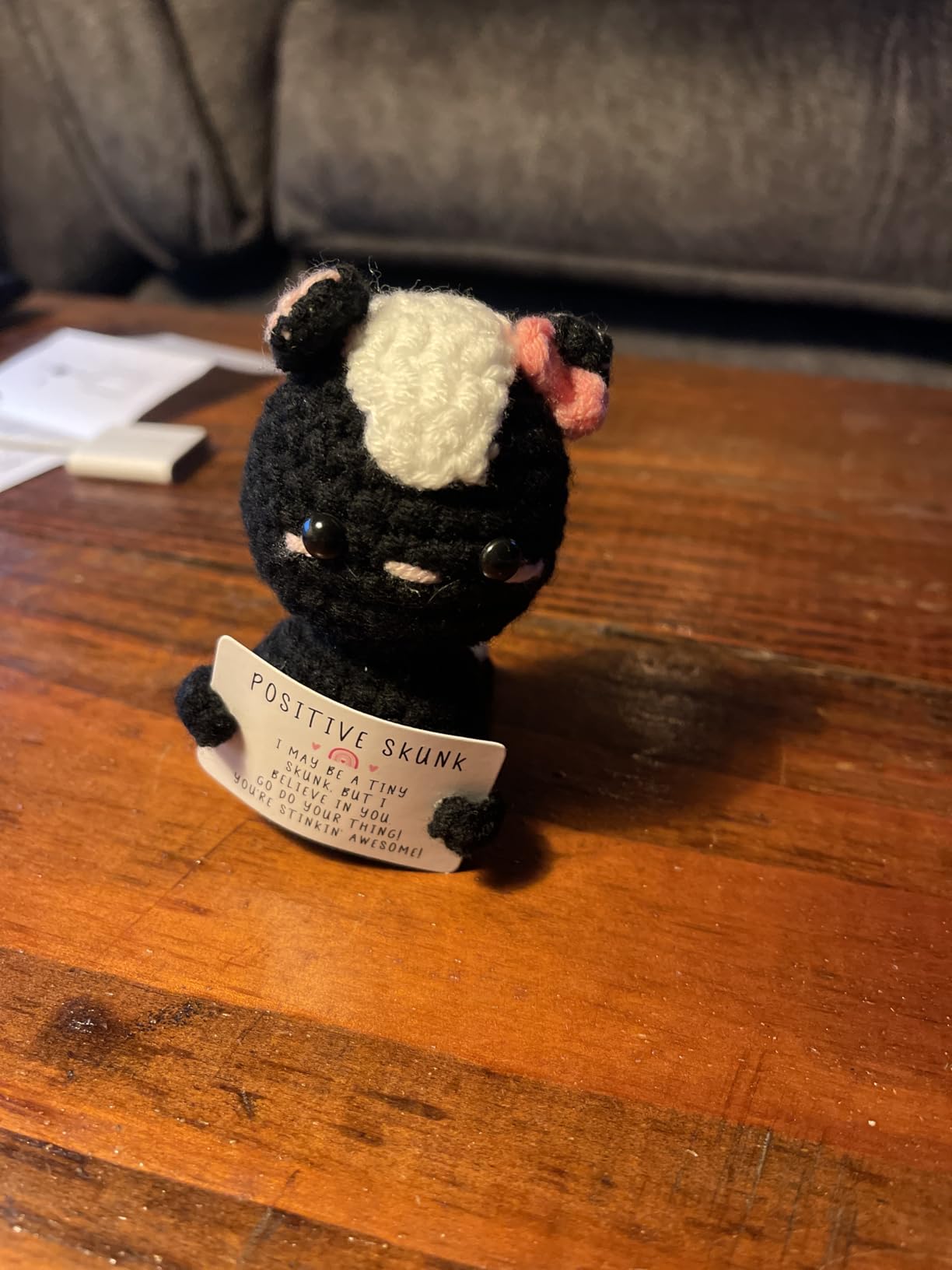 Crochet Skunk Gift for Friend - Cute Handmade Knitted Plush with Encouragement Card - Funny Thinking of You Present for Best Friend, Coworker, Roommate - Birthday, Christmas, Just Because Gift customer photo 2