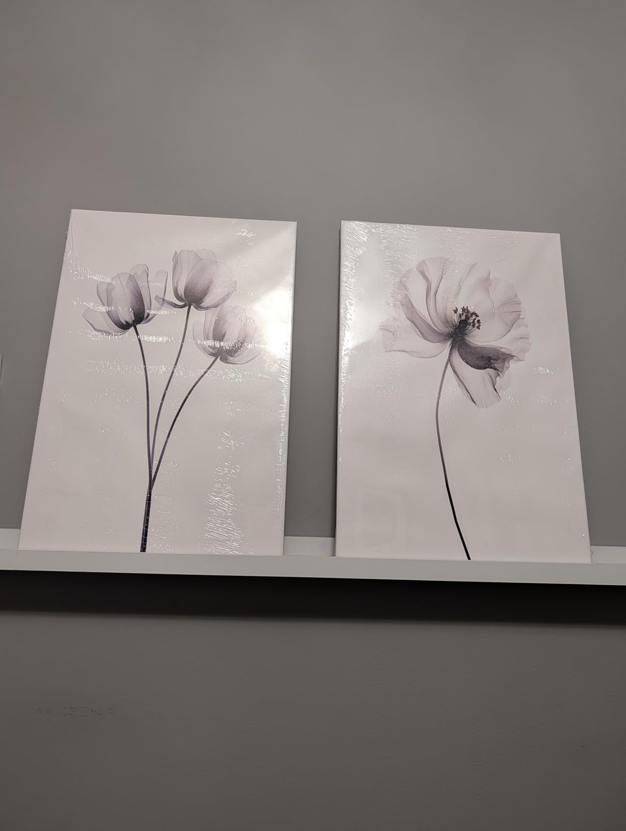 AUUAUU Gothic Floral Wall Art Dark Academic Canvas Paintings 12x16 Inches | Spider Web Pictures Prints Dark Moody Forest Botanical Artwork Halloween Wall Decor for Living Room Bedroom Ready to Hang customer photo 2