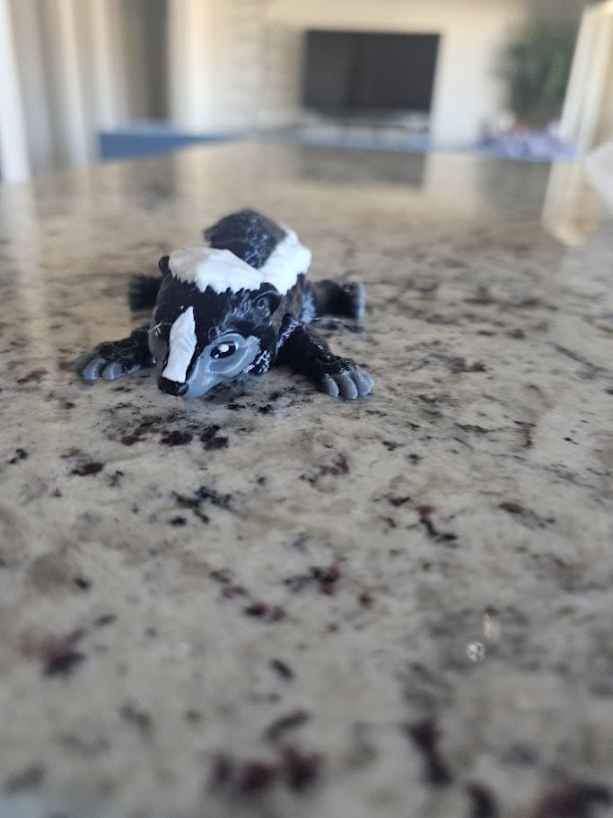 LIWA LIRO 3D Printed Skunk, 3D Printed Animals, Full Articulated Flexible Fidget Toys for Desk Decor - Grey - Small - 6Inch customer photo 2