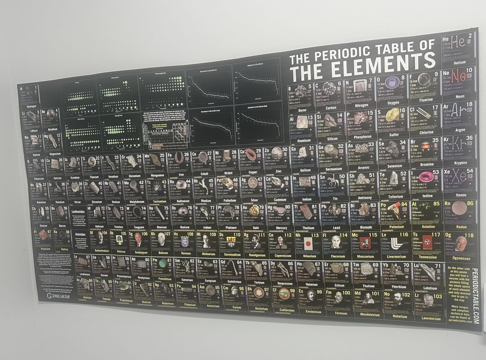 Large Periodic Table of the Elements Poster - Theodore Gray, 53x27 in. 1-Pk customer photo 2
