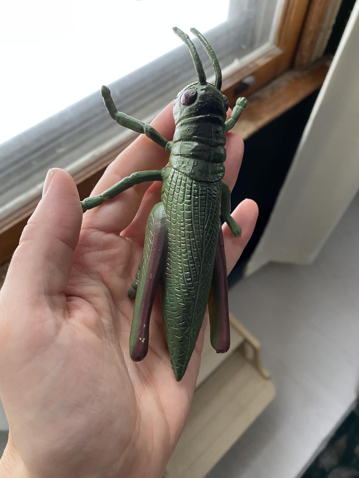 Large Grasshopper Figurine - Hollow Realistic Insect Bug Model Toy for Kids - Educational Bug Toy for Nature Study and Classroom Display customer photo 1