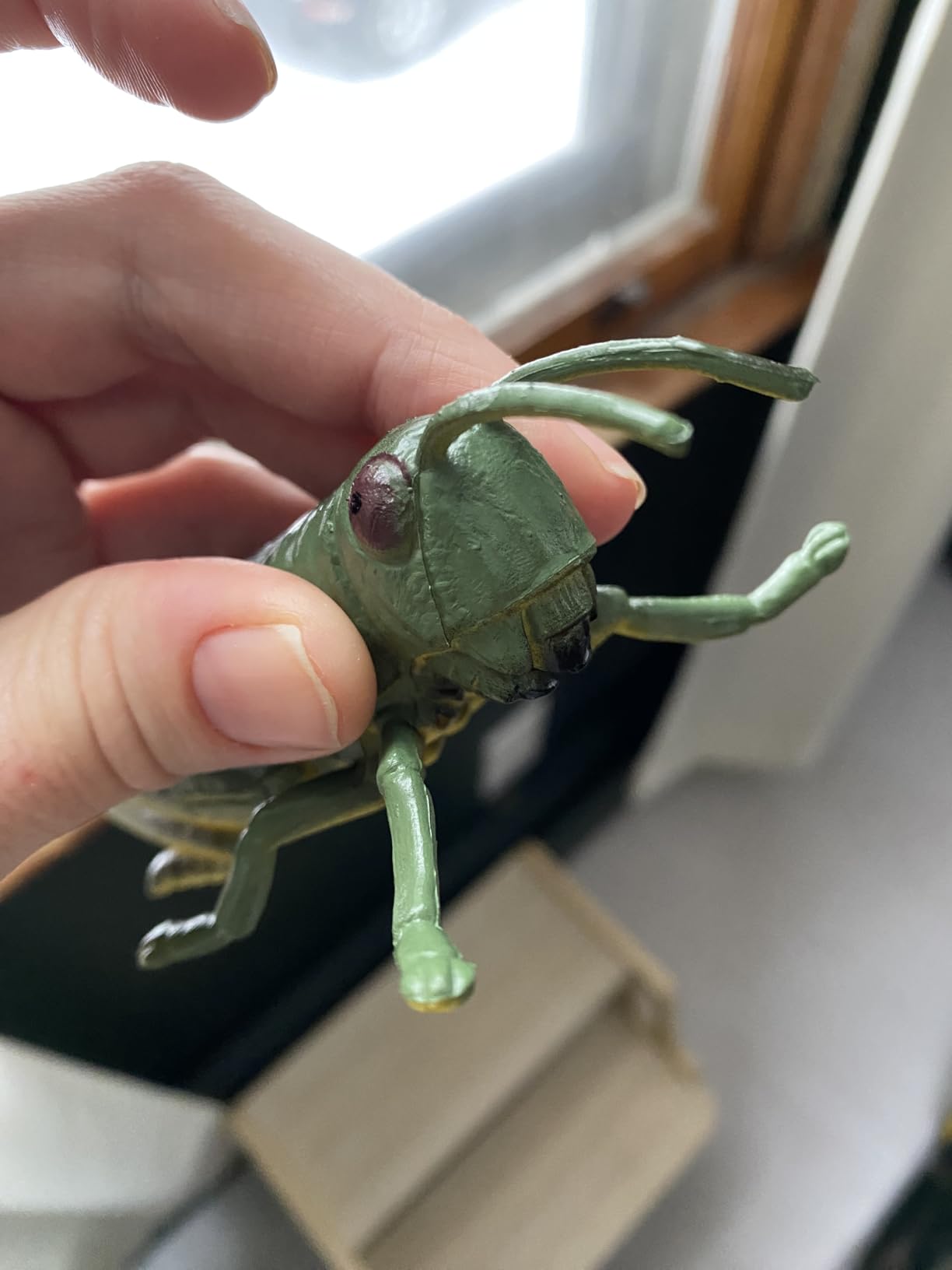 Large Grasshopper Figurine - Hollow Realistic Insect Bug Model Toy for Kids - Educational Bug Toy for Nature Study and Classroom Display customer photo 2