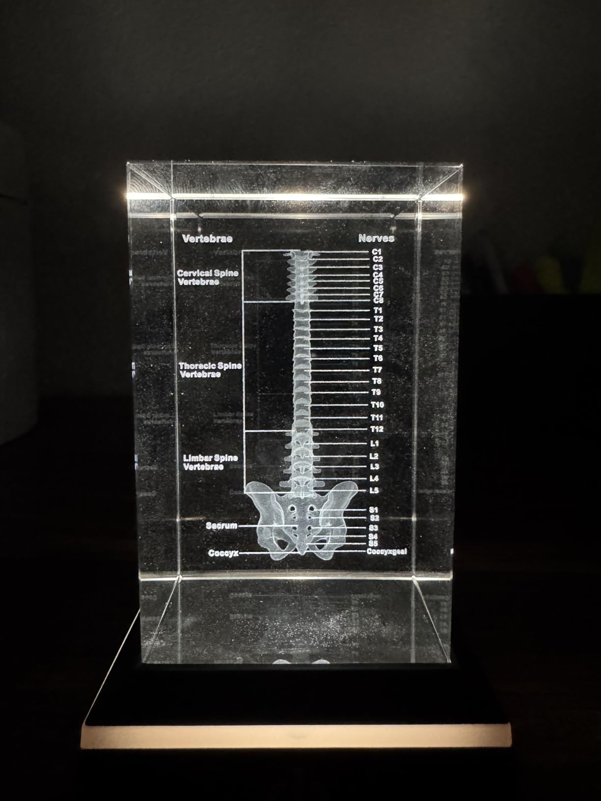Movdyka 3D Crystal DNA Model Helix Desk Decor Night Light Gift for Teachers customer photo 1