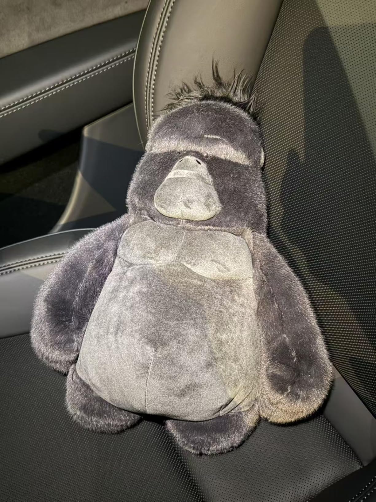 Anteater Stuffed Animal, Anteater Plush Toys Lifelike Cute with PP Cotton, 10.6 Inches Soft Realistic Stuffed Zoo Animals Toy Juguetes De Peluche Gifts for Kids Girls Animal Lover Birthday Christmas customer photo 1