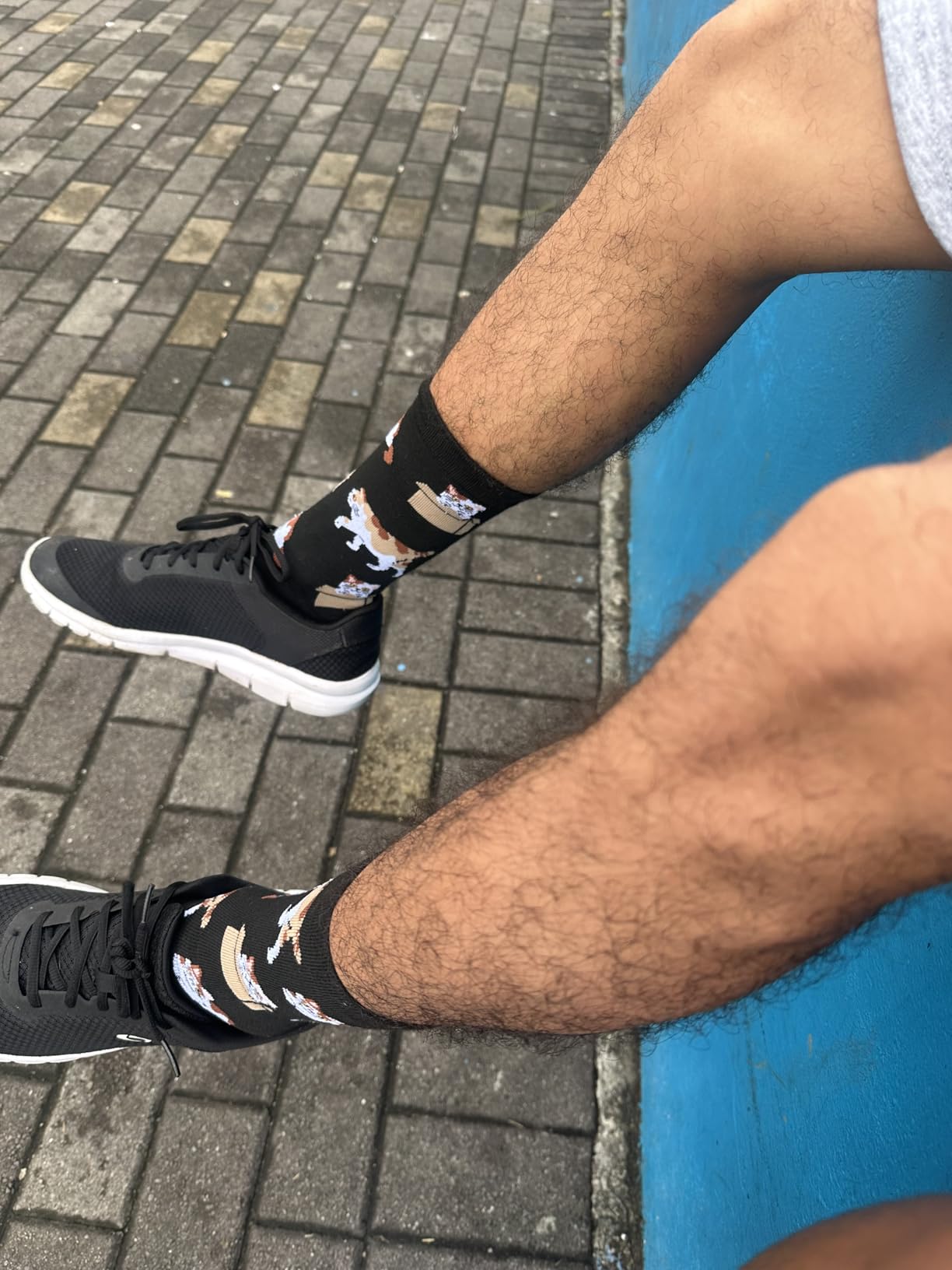 6 Pairs Novelty Animal Socks for Men Funny Animal Gifts customer photo 2