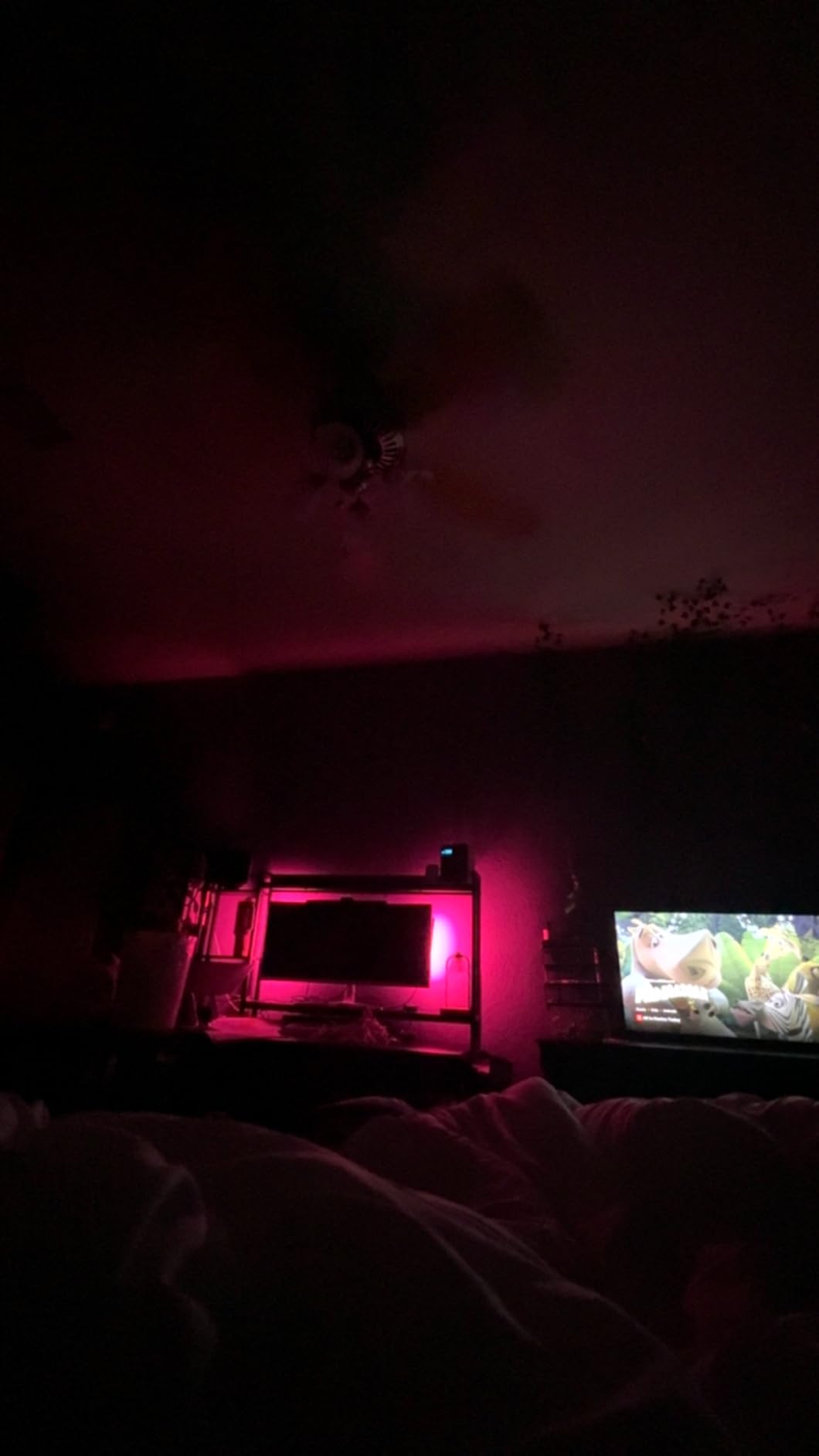 Govee Star Projector Lights, 7-Zone Colorful Nebula Effect, Compatible with Matter, 540ft² Coverage, LED Ceiling Lights for Bedroom, 50+ Scenes, 18 White Noise, Room Decor, Gifts for Kids, Sleep Lamp customer photo 1