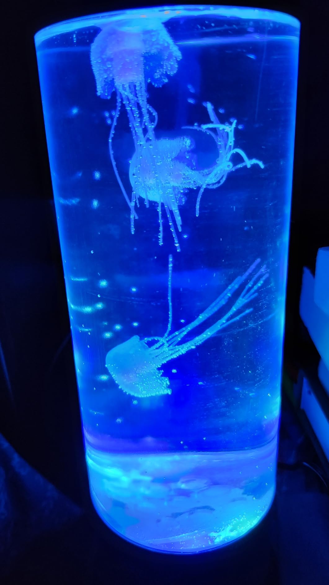 EDIER Jellyfish Lamp, 11 Inch Jellyfish Aquarium with Color Changing Light, Noiseless Pump, USB Powered Mood Light for Home Decor Kids Men Women customer photo 1