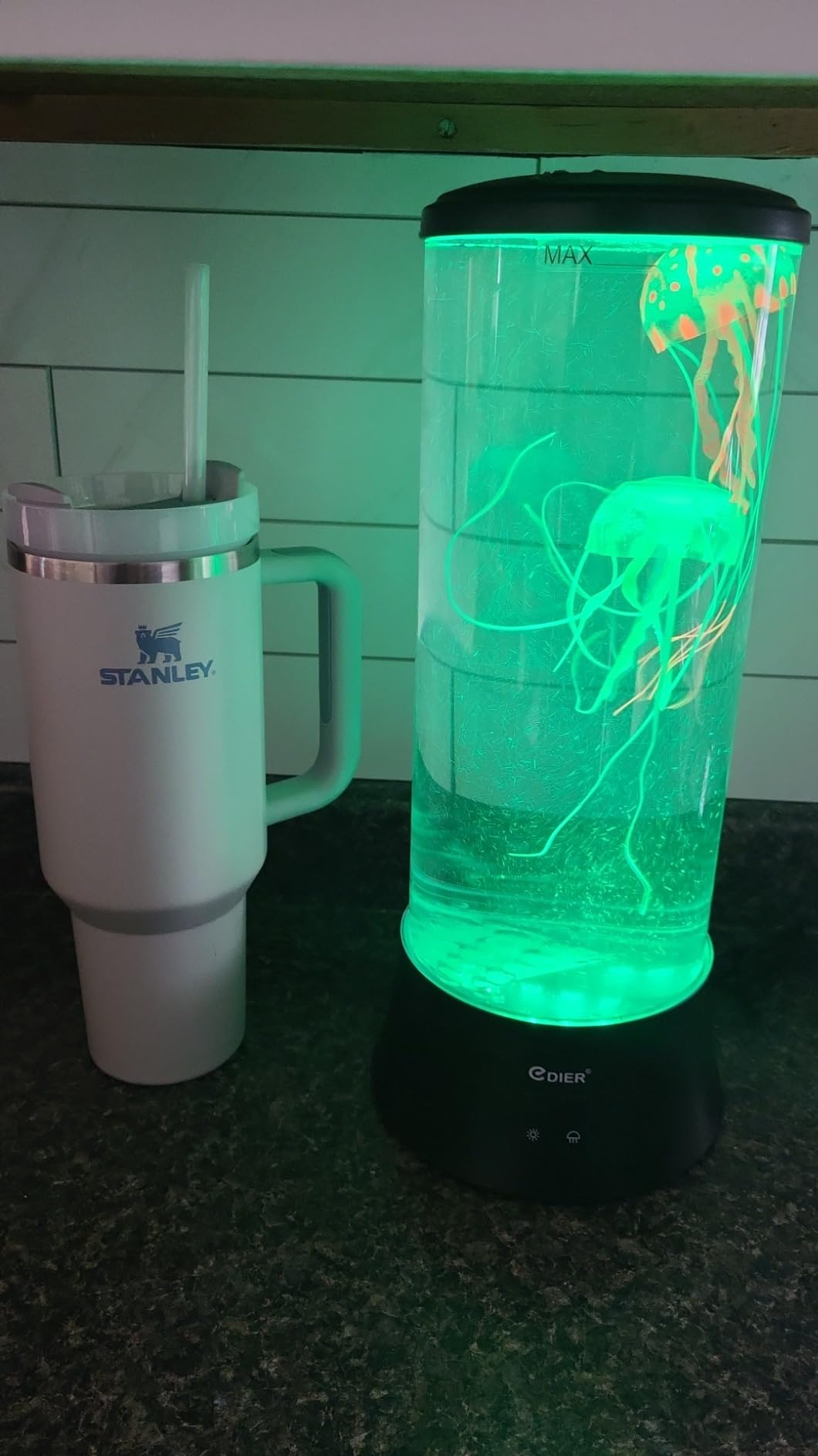 EDIER Jellyfish Lamp, 11 Inch Jellyfish Aquarium with Color Changing Light, Noiseless Pump, USB Powered Mood Light for Home Decor Kids Men Women customer photo 2