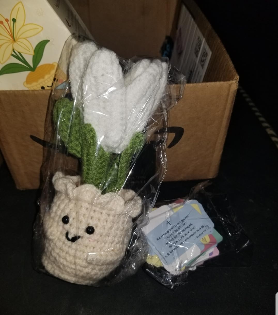 OASSIE Christian Gifts for Women - Lily Crochet with 60 Bible Verses Cards | Inspirational Religious Spiritual Gifts for Women Men, Positive Emotional Crochet Flower, Handmade Keepsake, Prayer Cards customer photo 2