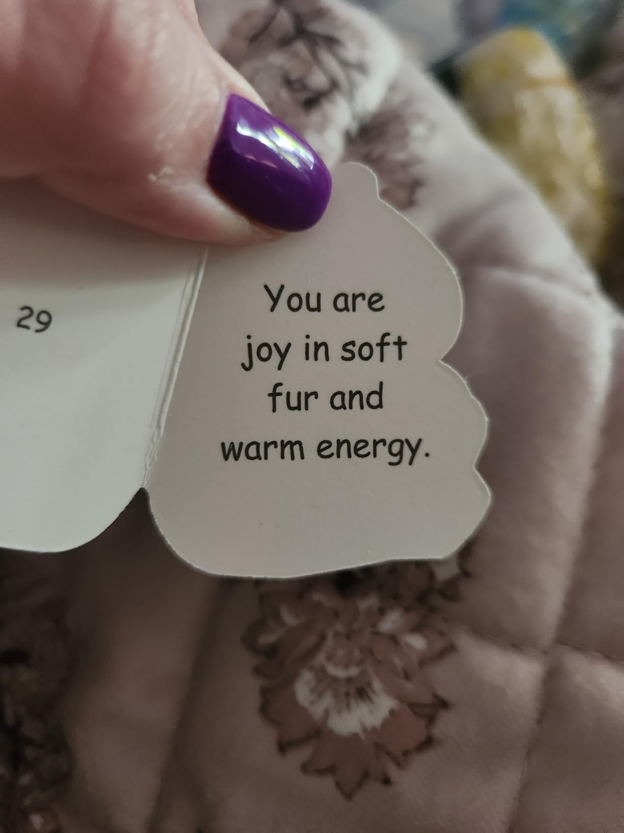 Miarita Positive Cats Jar - 60 Affirmation Cards for Anxiety & Self Care, Cat Mom Gifts For Women customer photo 2