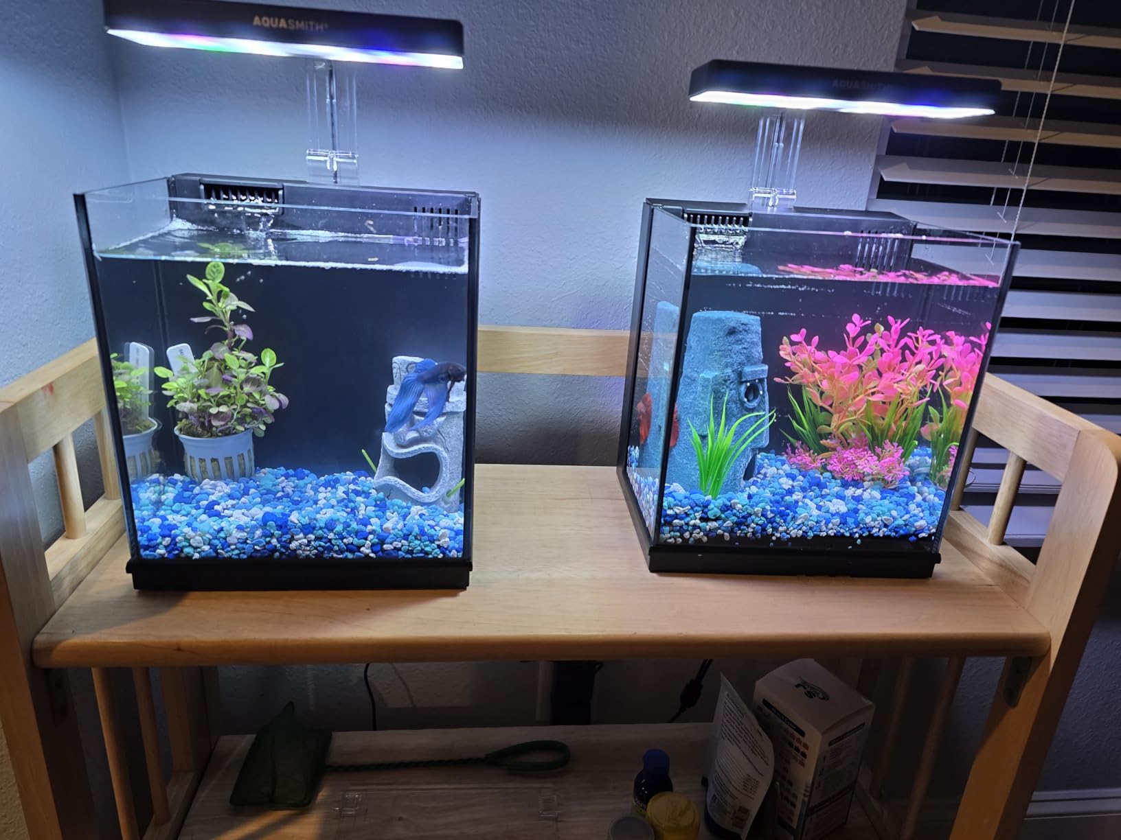 AQUASMITH Betta Fish Tank, 2 Gallon All-in-One Aquarium Kit with Filtration & LED Light, Self-Cleaning Aquarium for Beginners, Kids, Gifts for Men, Teen Boys customer photo 1