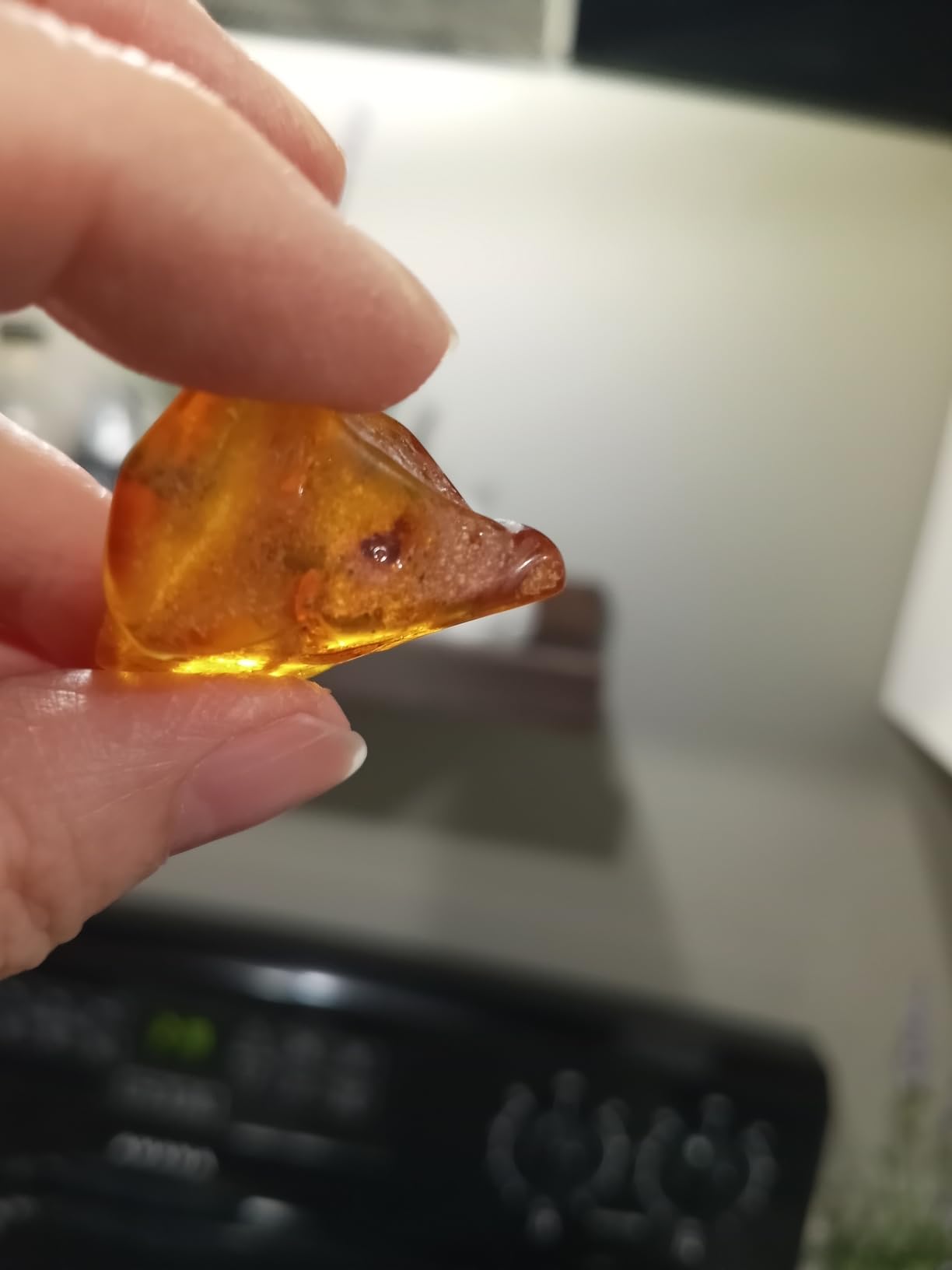 Baltic Amber Natural Fossil Insects, Insects from Millions of Years ago, True Insect Samples - Science Classroom Education Animal Specimens (A Amber with Insects Fossils) customer photo 2