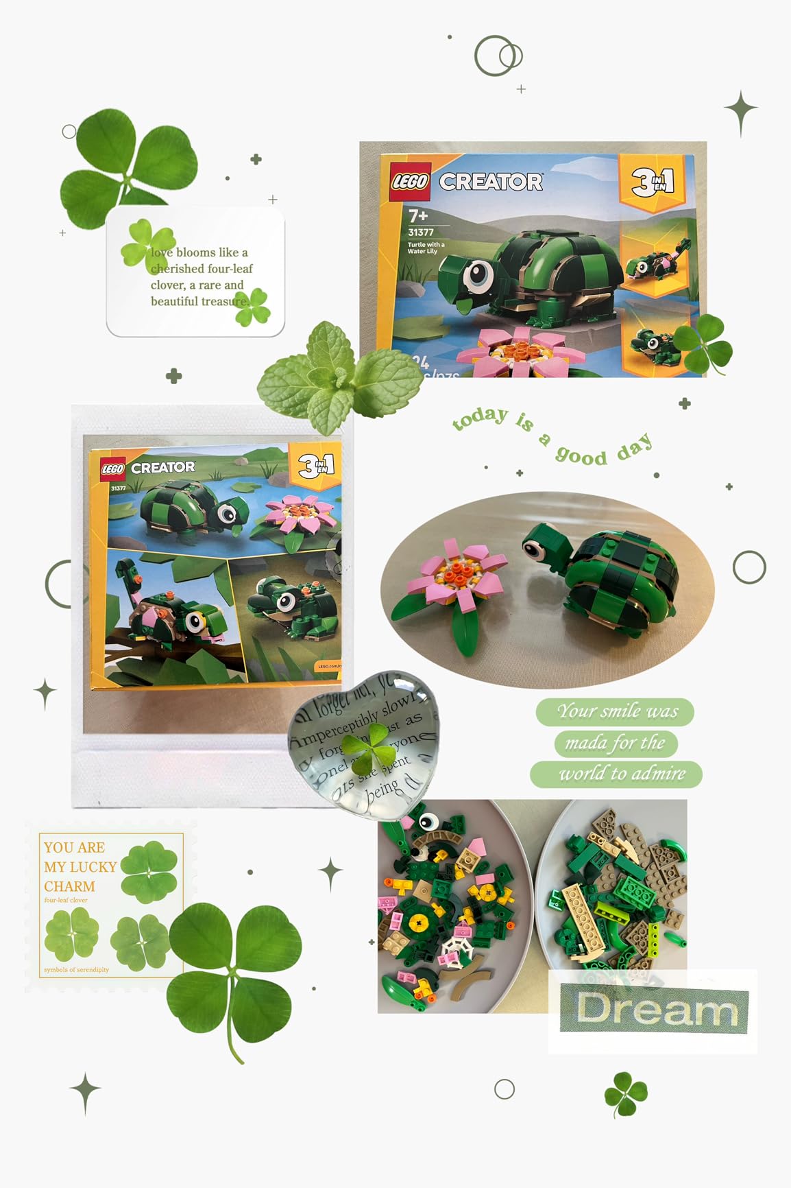 LEGO Creator 3 in 1 Turtle with a Water Lily Flower Building Toy for Girls & Boys - Kids Build a Chameleon, Frog, or Turtle Toy Figure - Gift Idea for Animal Lovers, Ages 7+ - 31377 customer photo 1