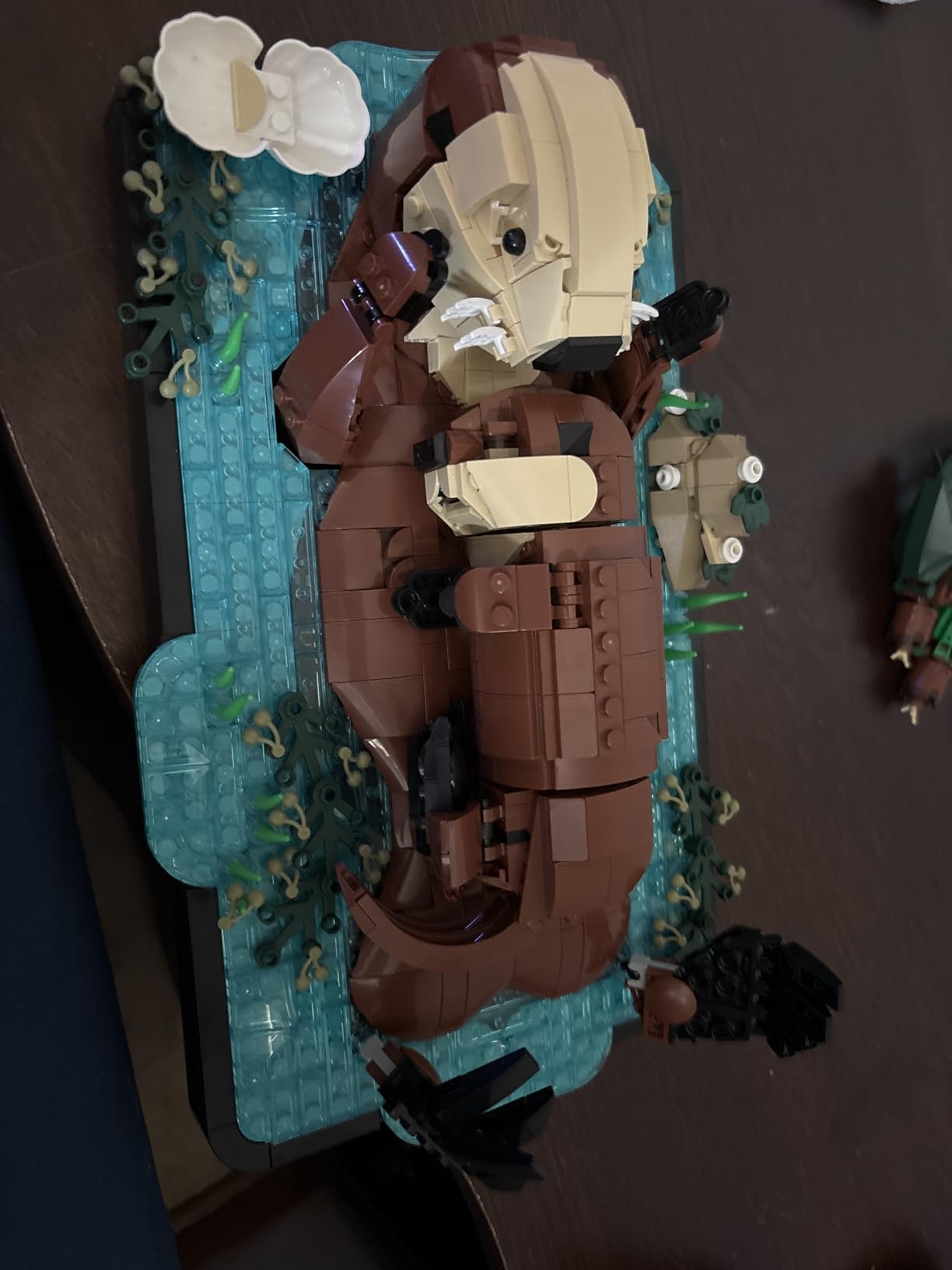 LEGO Ideas Floating Sea Otters Building Sets for Adults - Room or Office Decor for Women & Men, Ages 18+ - Gift Ideas for Birthday - 21366 customer photo 1