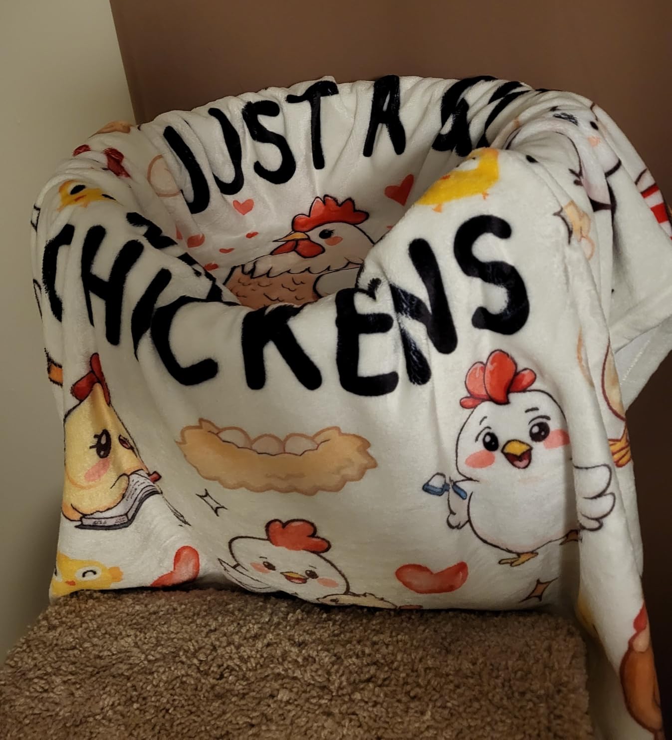 Hedgehog Blanket Gifts for Kids Women Girls,Hedgehogs Accessories Stuff Cute Animal Throw Blankets,Hedgehogs Gifts for Hedgehog Lovers Adults 50