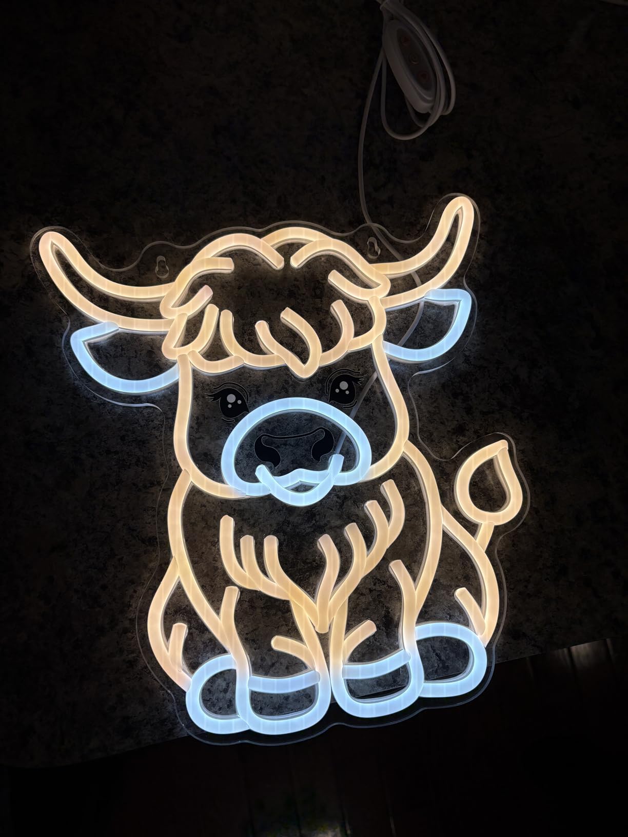 OkiyiD Gecko Neon Sign, Gecko Wall Art Decor Gifts with USB Power, Wild Reptile Themed Ambient Lighting for Bedroom, Office, Game Room and Bar customer photo 2