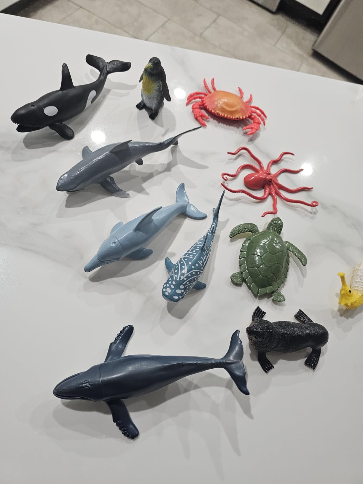 Ocean Sea Life Toy Figures Set for Kids, 12 PCS Realistic Marine Animals with Shark, Dolphin, Sea Turtle, Penguin, Seal, Clownfish, Crab, Ocean Animal Figure Toys for Boys Girls Toddlers customer photo 1