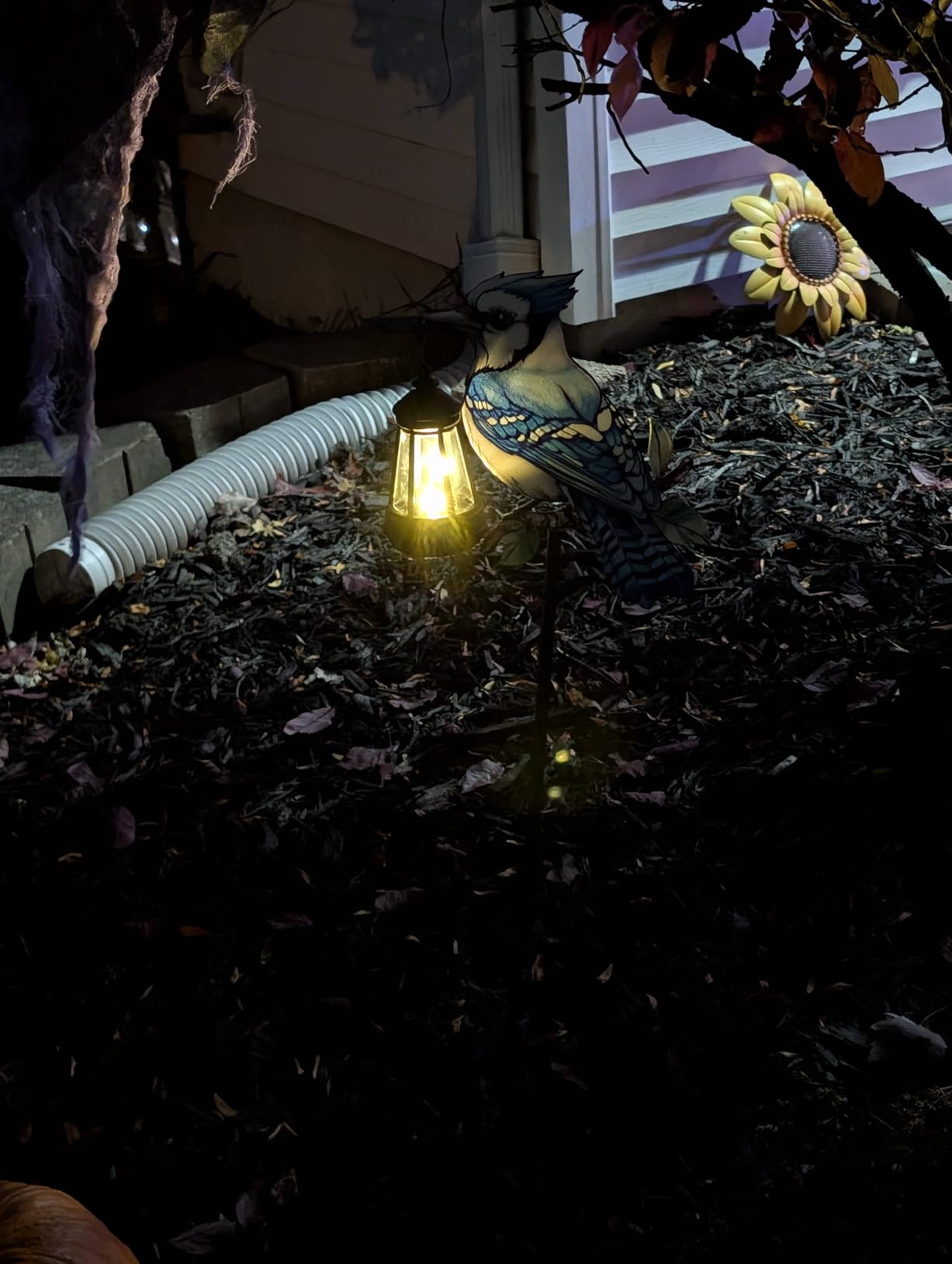 2 Pack Solar Lantern Outdoor Decor Solar Blue Jay Lights Metal Stake customer photo 2