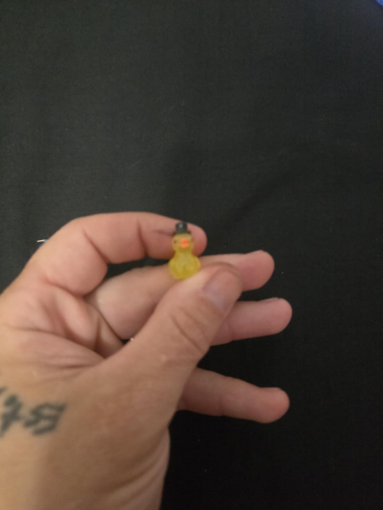 ResinGlow 50 Pcs Mini Resin Firefly Desk Pets - Glow in The Dark Mini Luminous Animals customer photo 1