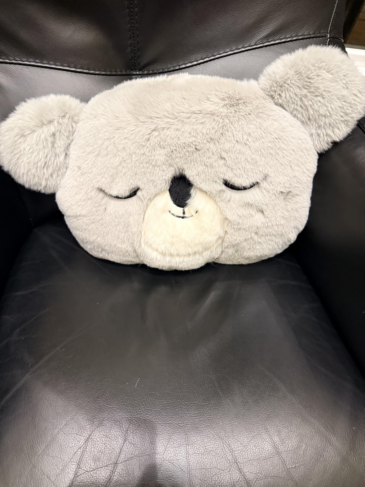 Fun Throw Pillows Home Decor, Koala Decorative Pillows for Bed Couch, Cute Cozy Stuffed Plush Floor Cushion Gift for Bedroom, Nursery, Christmas & Birthday customer photo 1
