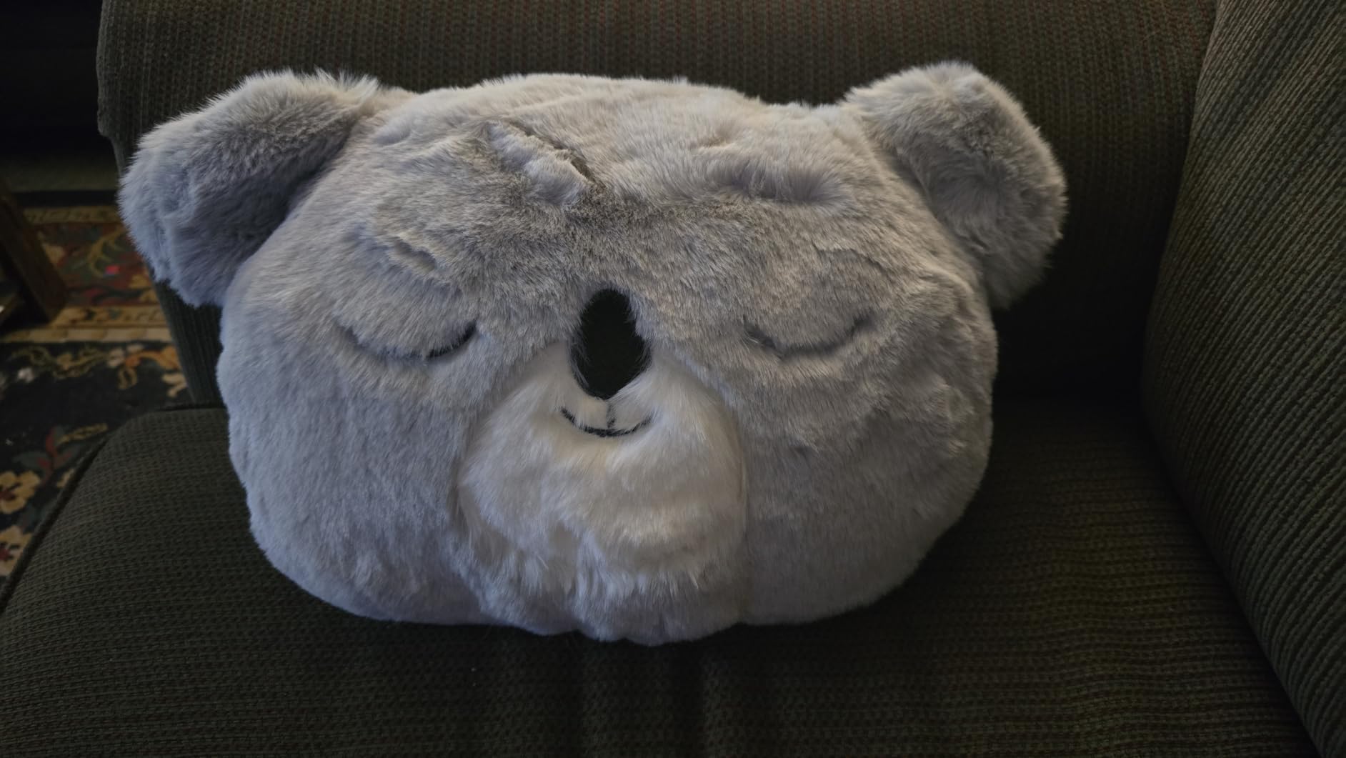 Fun Throw Pillows Home Decor, Koala Decorative Pillows for Bed Couch, Cute Cozy Stuffed Plush Floor Cushion Gift for Bedroom, Nursery, Christmas & Birthday customer photo 2