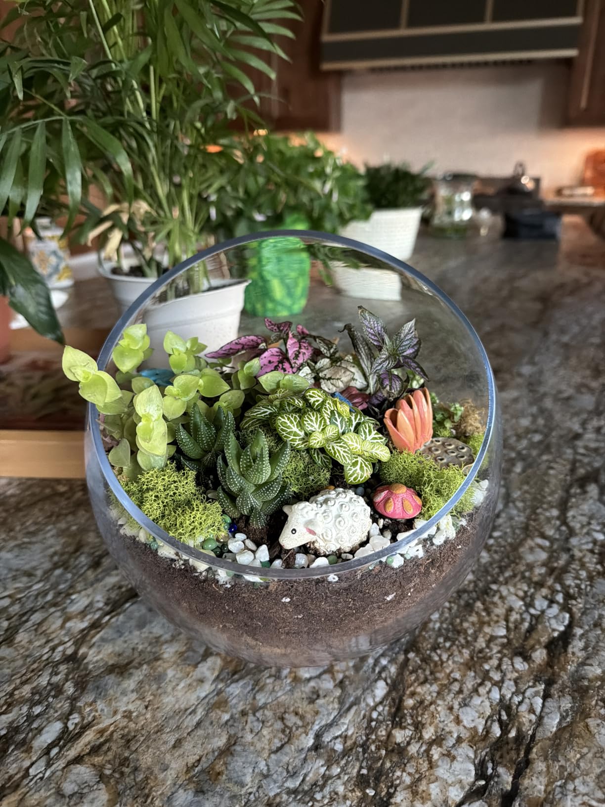 Terrarium Kit Adults - Includes Pumice, Moss, Soil, Pebbles, Charcoal, 2 Tools, Mushroom Ornaments for Succulent Cactus, Terrarium Accessories Decor Gifts for Starter Women customer photo 2