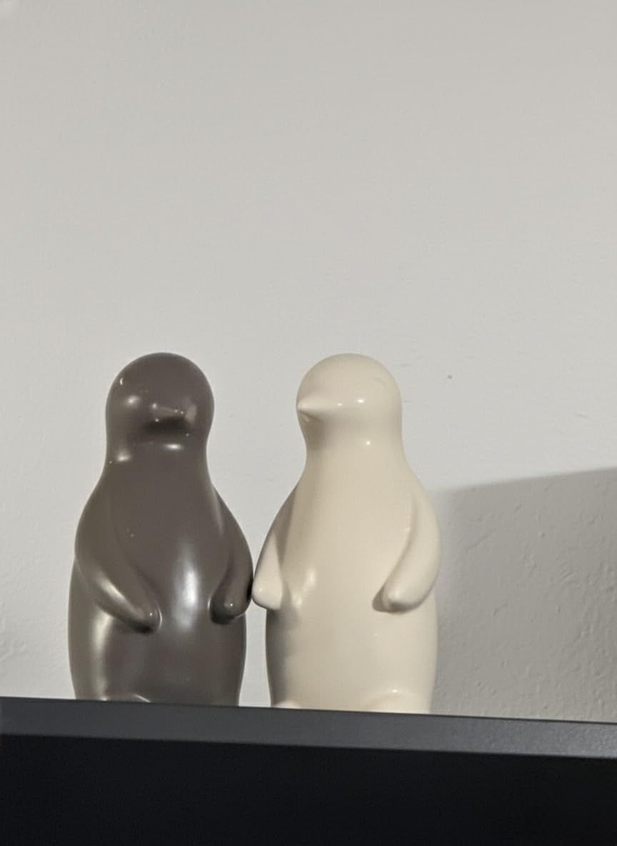 Ceramic Penguin Couple Figurines Home Decor, Loving Pair Statue for Gift | Anniversary & Wedding Romantic Gifts for Women Men Couples, Modern Statues, Hugging Love Pair Table Top Shelf Decor customer photo 1
