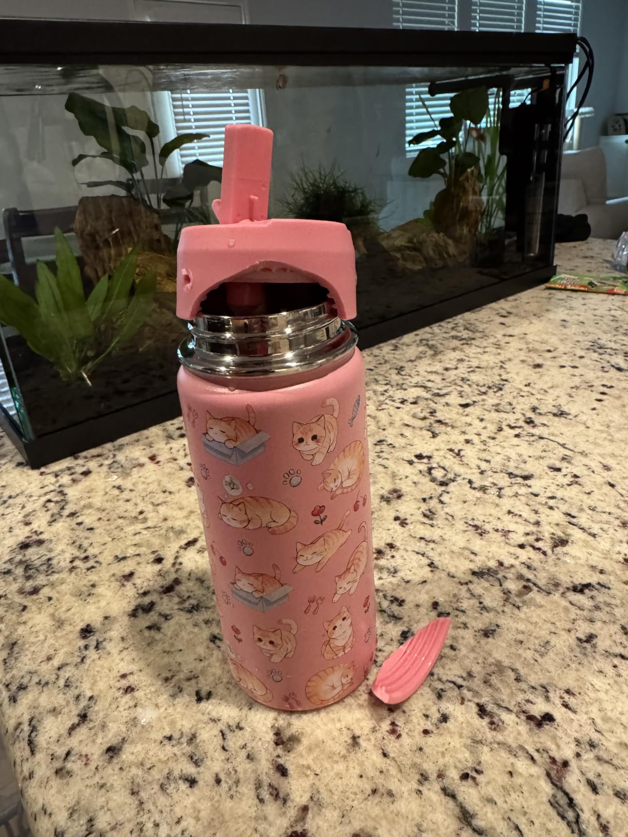 Koala Gifts for Kids - 16oz Koala Water Bottle with Straw Lid - Koalas Stainless Steel Kids Insulated Cup for School, Sports, Travel Tumbler for Koalas Lovers, Girls, Boys customer photo 1