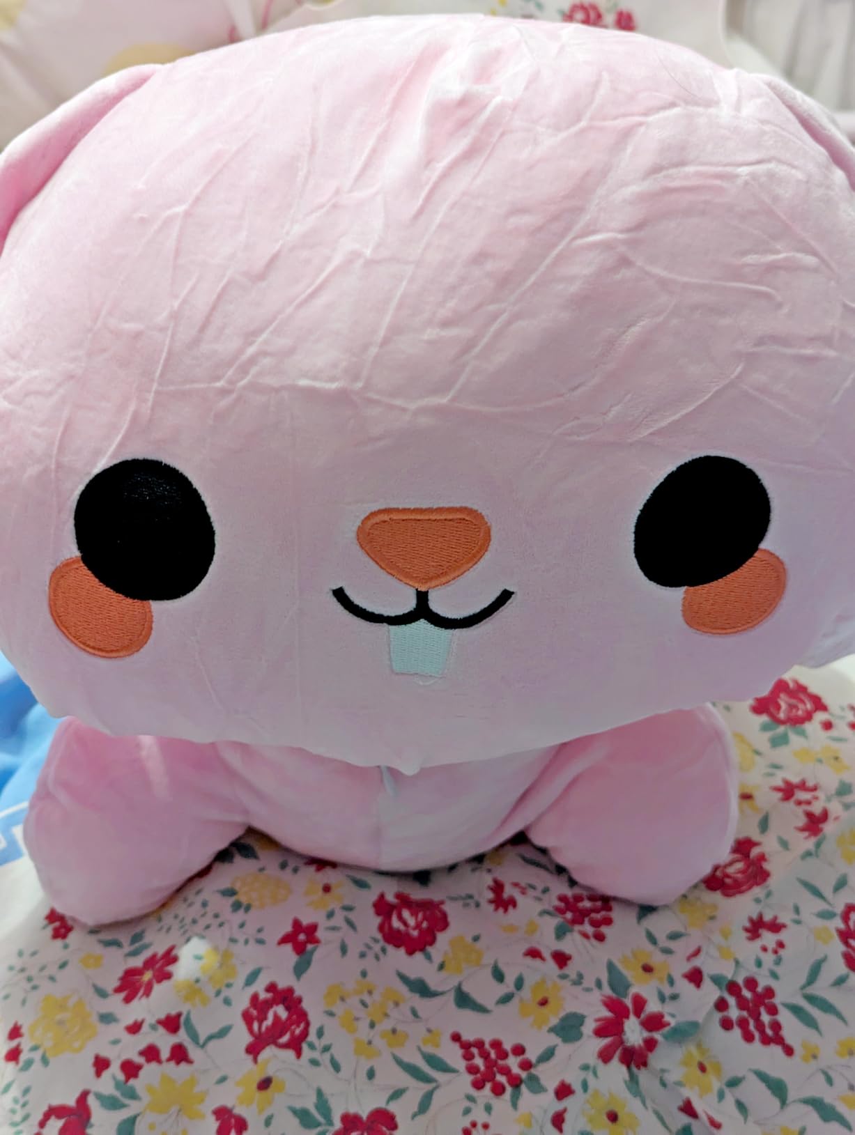 TOYSYM Weighted Stuffed Animals Koala, Koala Plush with Weighted Beads, Cute Plushie Pillow Gifts for Adults Kids Boys Girls 9.8 Inch customer photo 2