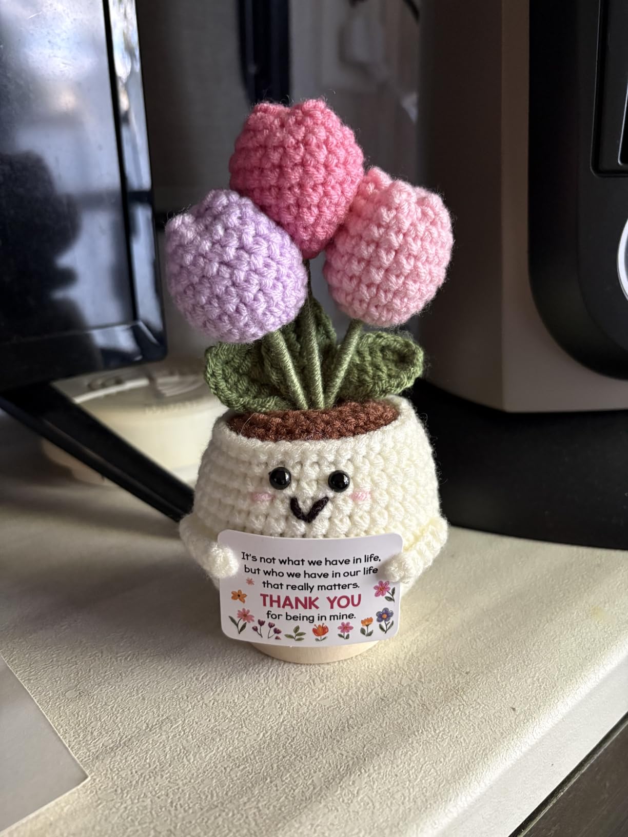 Aunt Gifts - Auntie Christmas Birthday Gifts for Aunt from Nephew Niece | Valentines Mothers Day Auntie Gifts for Women - 5.51'' x 4.13'' Handmade Knitted Positive Tulip Flowers Aunt Crochet customer photo 2