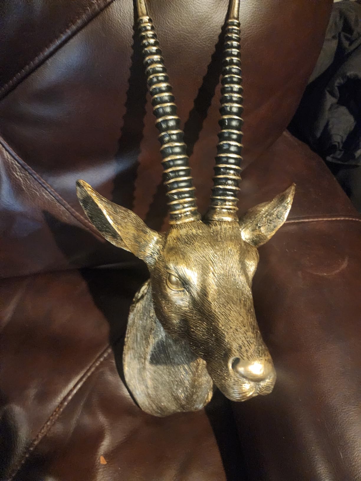 Faux Antelope Head Wall Decor Sculpture 17.7 Inch - Sweeping Gold Vintage Animal Head Wall Mount Gazelle Statue Resin Taxidermy Style for Living Room Bedroom Office Farmhouse Boho Home Decor customer photo 1