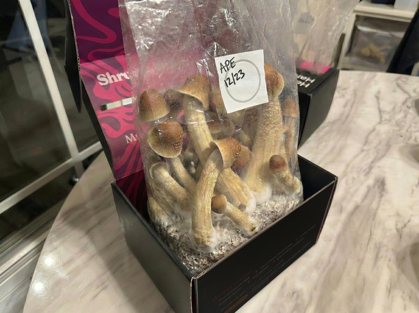 Mushroom Grow Kit - All-in-One 4LB Grow Bag with Self-Healing Port - Fast-Colonizing Universal Substrate for Any Mushroom - Multi-Flush High-Yield - USA Made (Just Add Your Own Culture) customer photo 2
