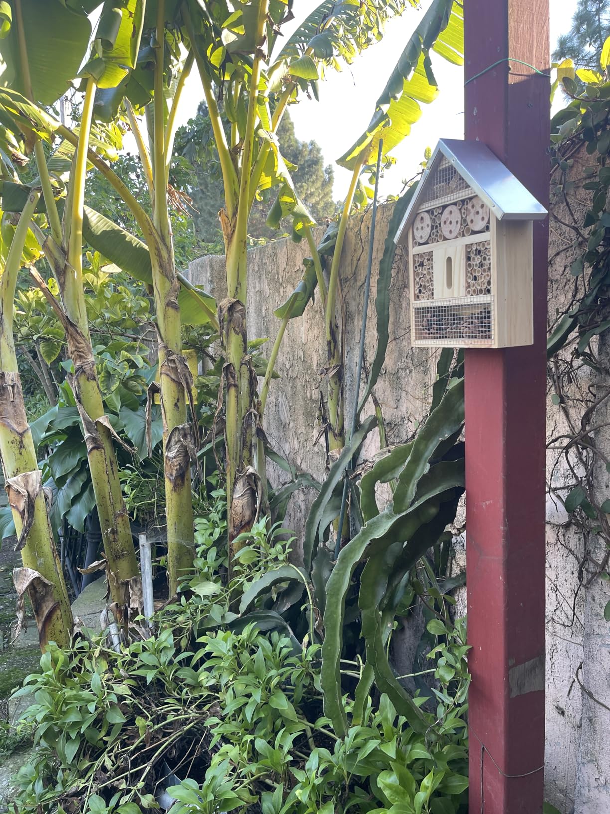 UUMENHA Insect Hotel & Mason Bee House - Butterfly House, Multi-Functional Bee Hotel for Garden, Attract Pollinators, Durable Natural Wood Design, 4.13x2.56x10.63 inches customer photo 1