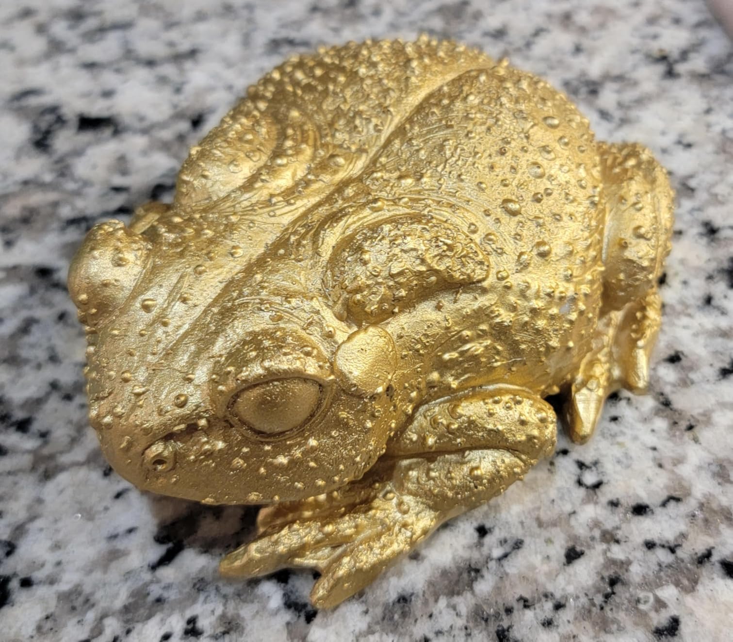 Gold Beetle Wall Sculpture, 3D Resin Insect Wall Decor, Wall Art Ornament | Antique Gold Insect Wall Hanging Decor, Beetle Animal Statue Home Decoration for Living Room Entryway Gallery Wall Display customer photo 2