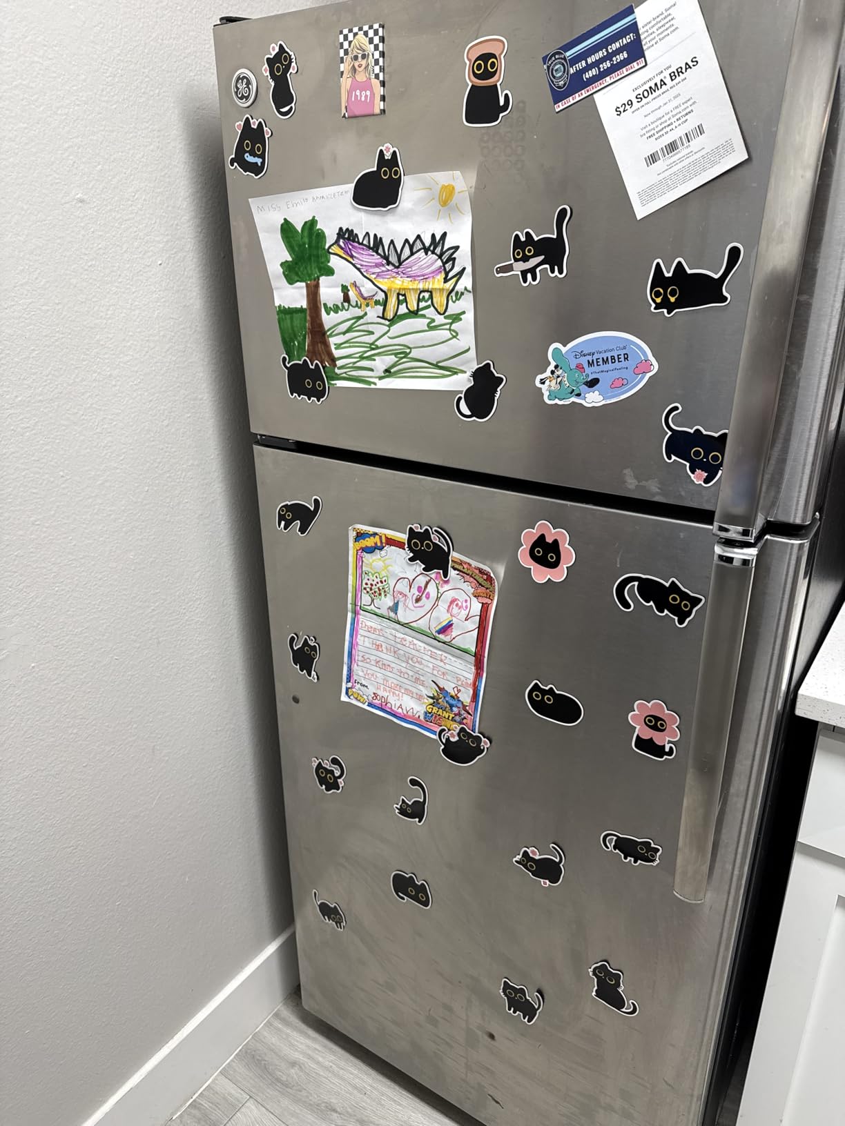 MALLMALL6 Raccoon Fridge Magnets - 24Pcs Funny Animals Refrigerator Stickers Magnetic Decorative, Novelty Gift for Raccoon Lovers customer photo 2