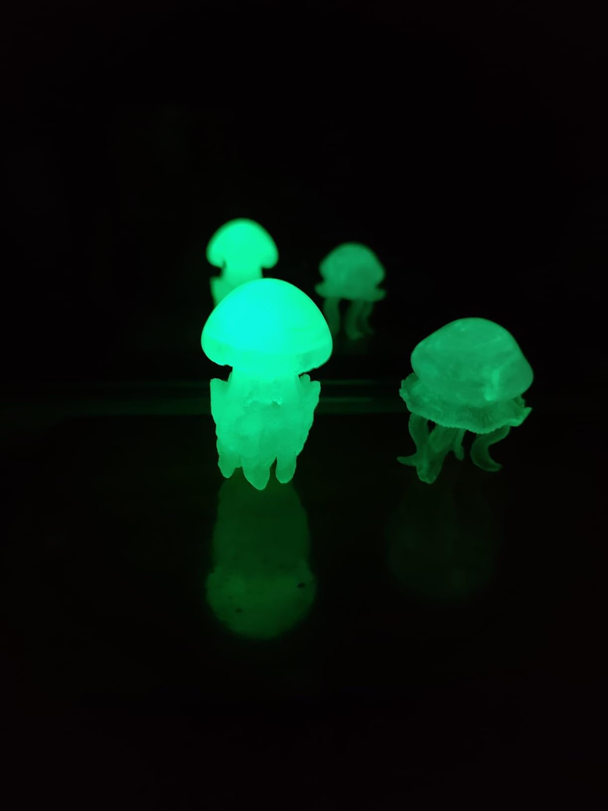 Safari Ltd. Jellyfish TOOB - 8 Glow-in-the-Dark Jellyfish Figurines - Educational Ocean Animal Toy Set for Boys, Girls, and Kids 3+ customer photo 1