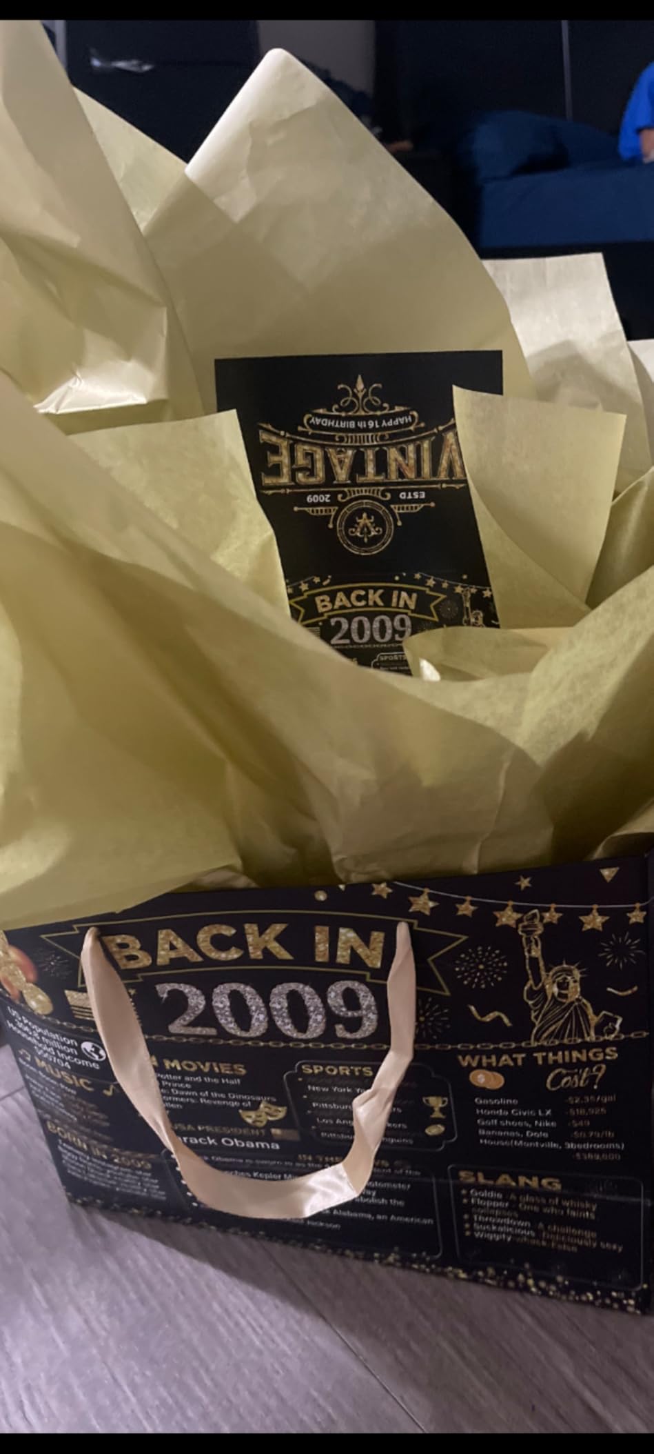 Double-Sided 100th Birthday Gift Bag with 1926 Poster, Card & Tissue Paper (11.8