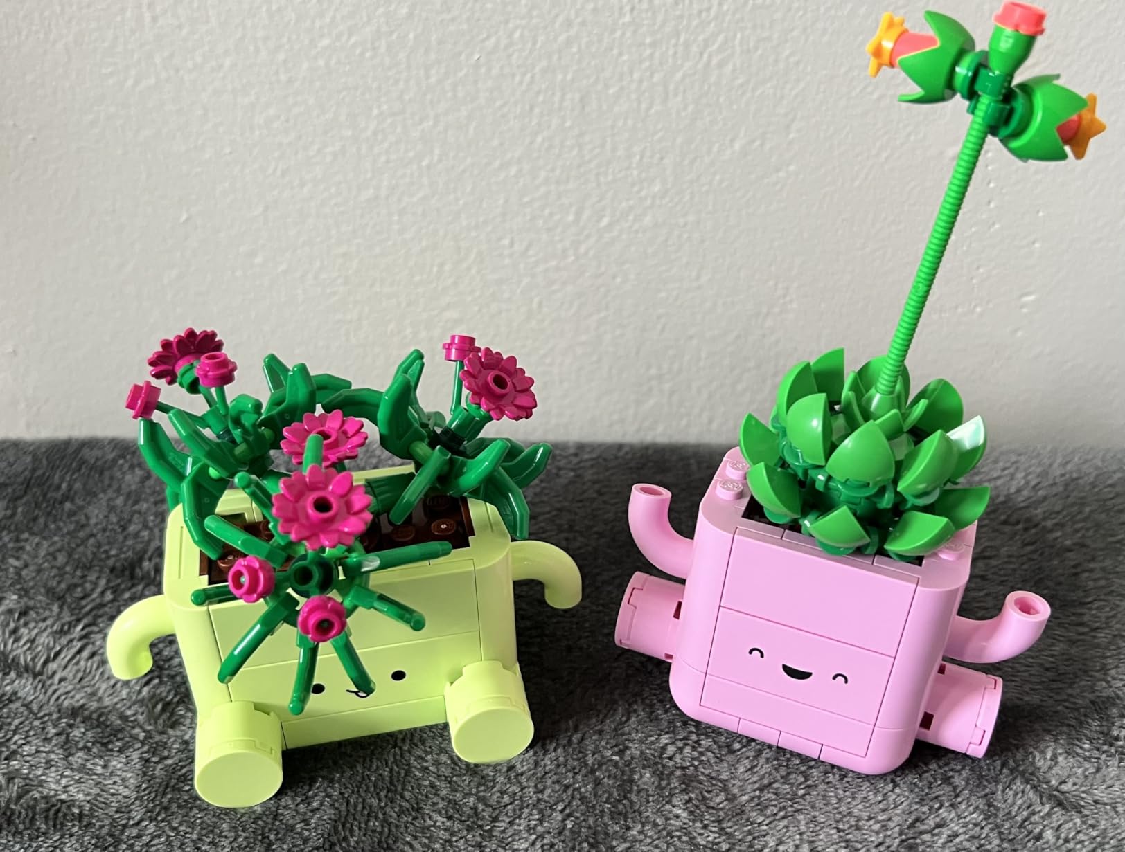 LEGO Botanicals Rocking Plants - Building Toy for Kids, Girls & Boys, Ages 9+ - Decor for Dorm Desk or Shelf - Housewarming Gift Ideas - 11506 customer photo 1