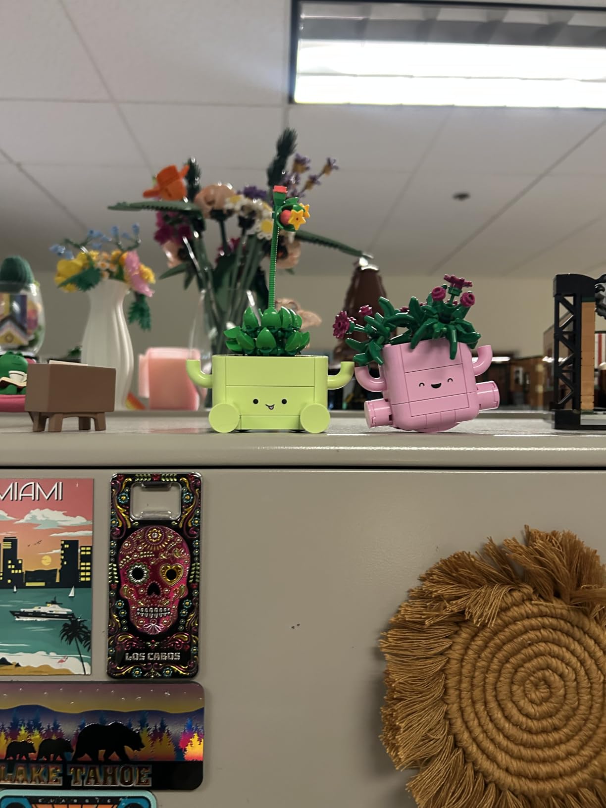 LEGO Botanicals Rocking Plants - Building Toy for Kids, Girls & Boys, Ages 9+ - Decor for Dorm Desk or Shelf - Housewarming Gift Ideas - 11506 customer photo 2
