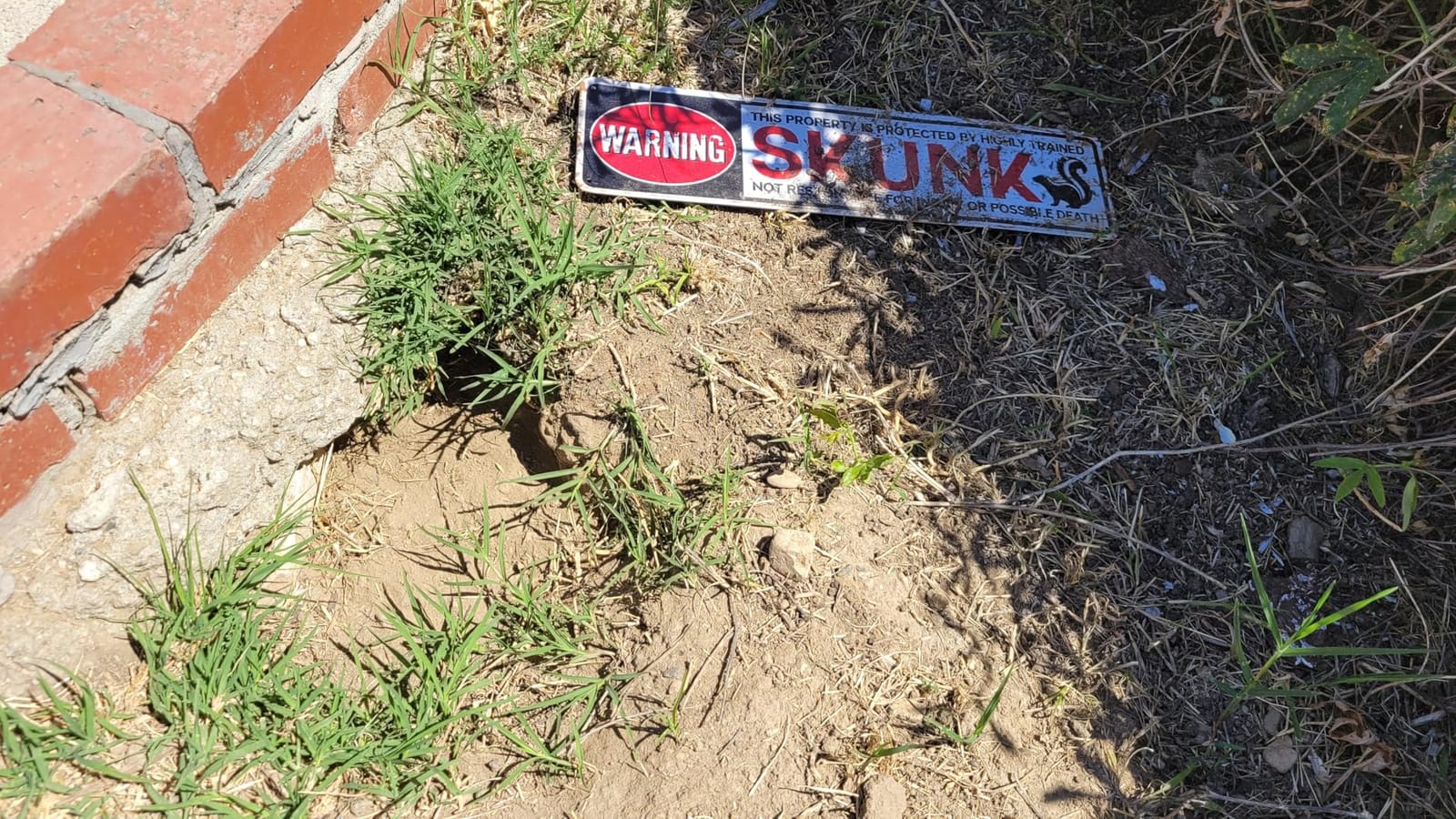 Retro Tin Metal Sign, Funny Rhinoceros Sign, Rhino Warning Plaque, Pet Signs for Rhinos Lovers, Retro Tin Metal Decor, Vintage Farmhouse Yard Signs, Unique Gift for Rhino's Enthusiasts, 15.8x4 Inches customer photo 1