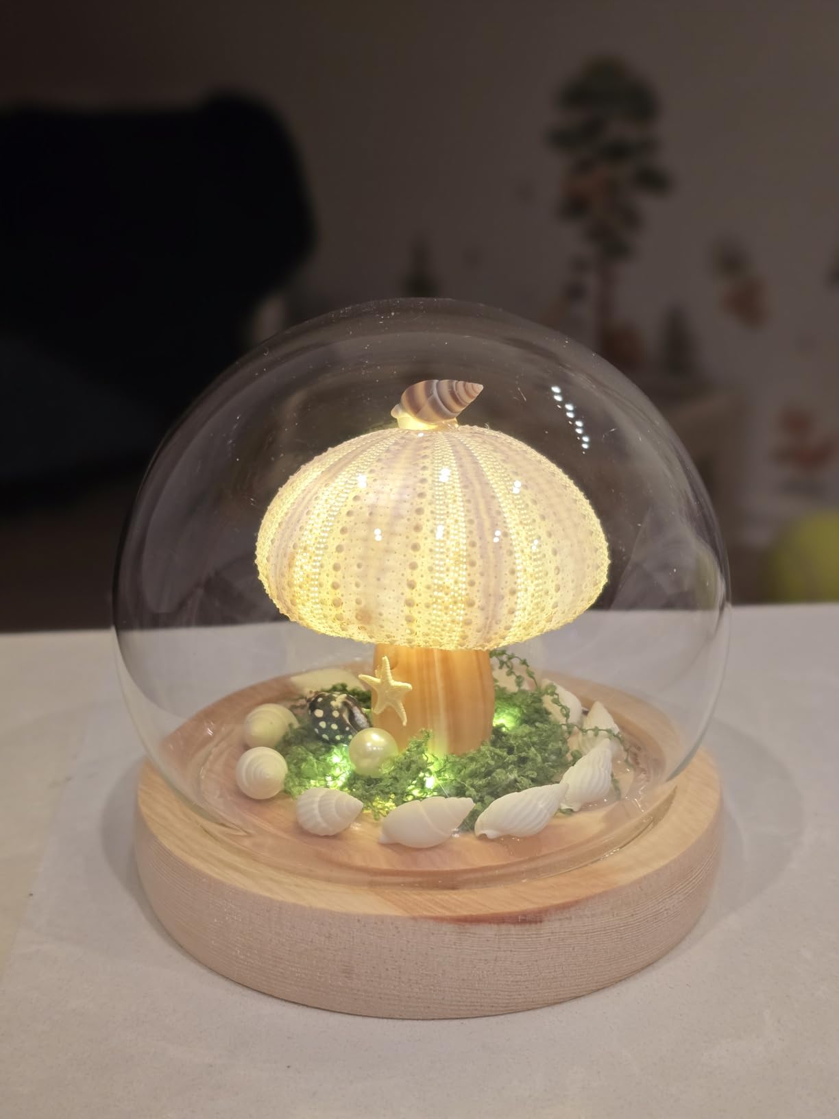 Glass Dome Shell Sea Urchin Handmade Night Light, Warm White LED Desktop Lamp for Bedroom Decor, Unique Gifts for Women customer photo 2