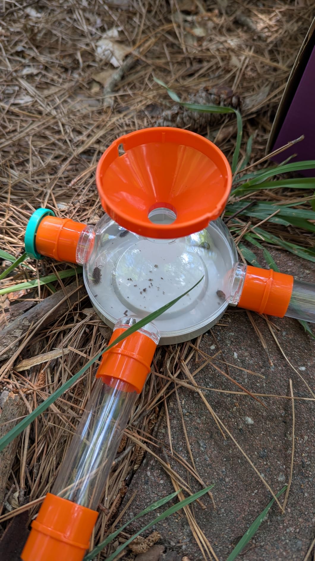 Bug Catcher Kit for Kids, Insect Catching Set with Bug Habitat, Magnifier | Outdoor Explorer Toy with Butterfly Net, Tweezers & Bug Box, STEM Nature Learning Toy Birthday Gift for Boys & Girls Ages 4-8 customer photo 2