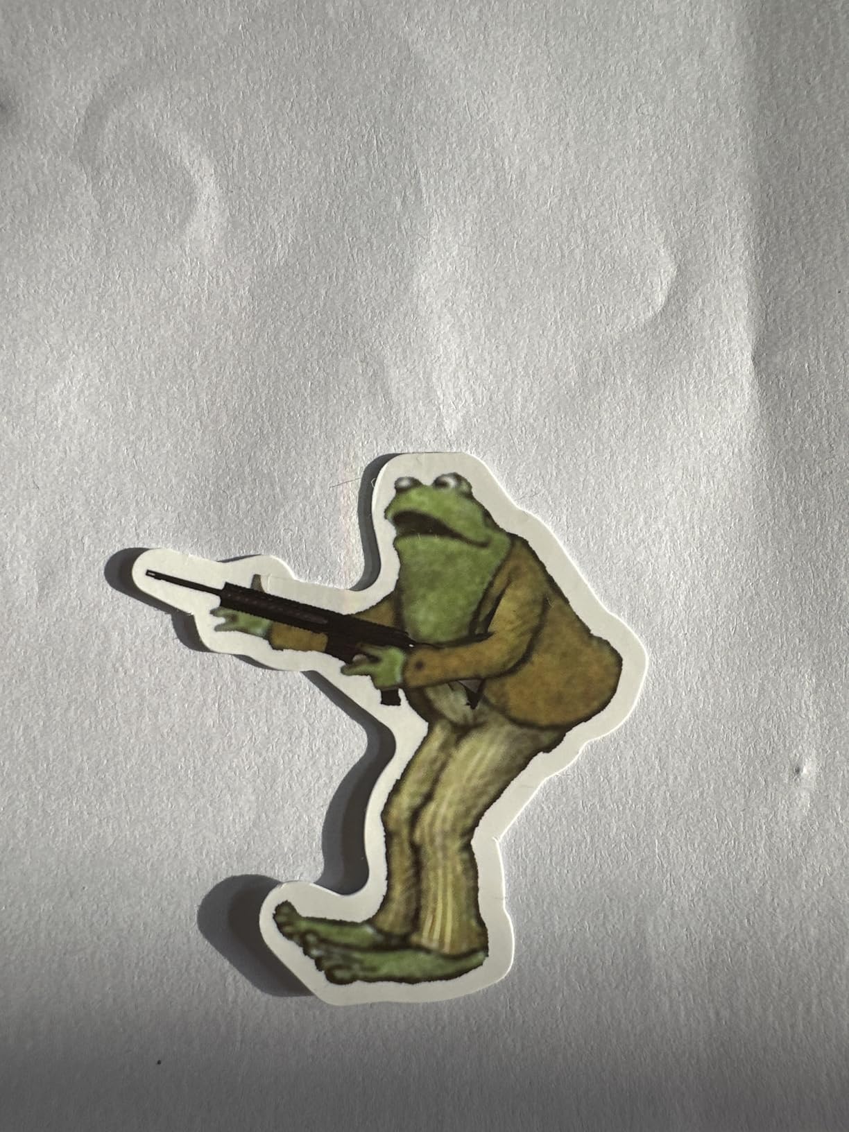 50pcs Frog and Toad Stickers for Scrapbook Journal, Fun Cartoon Stickers for Teens Adult, Waterproof Vinyl Decals for Water Bottle Laptop Skateboard Guitar Phone Computer Travel Case customer photo 1