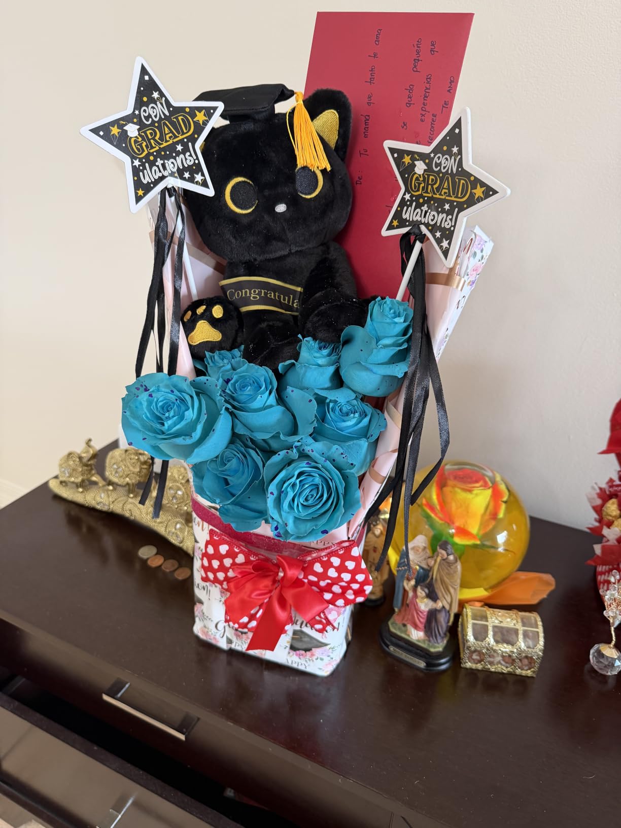 Black Cat Plush with Removable Ladybug Costume, 8inch Cute Ladybug Gifts customer photo 1