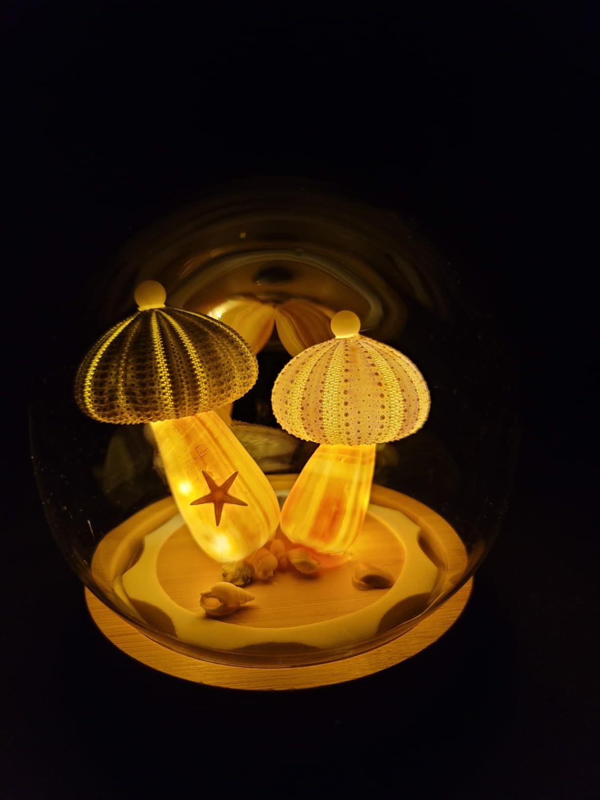 Natural Sea Urchin Shell Night Light, Rechargeable Wireless Table Lamp with Wooden Base, Dimmable Touch Control Bedside Lamp, Unique Ocean Decor Gift for Women, Kids, Nursery, Bedroom customer photo 2